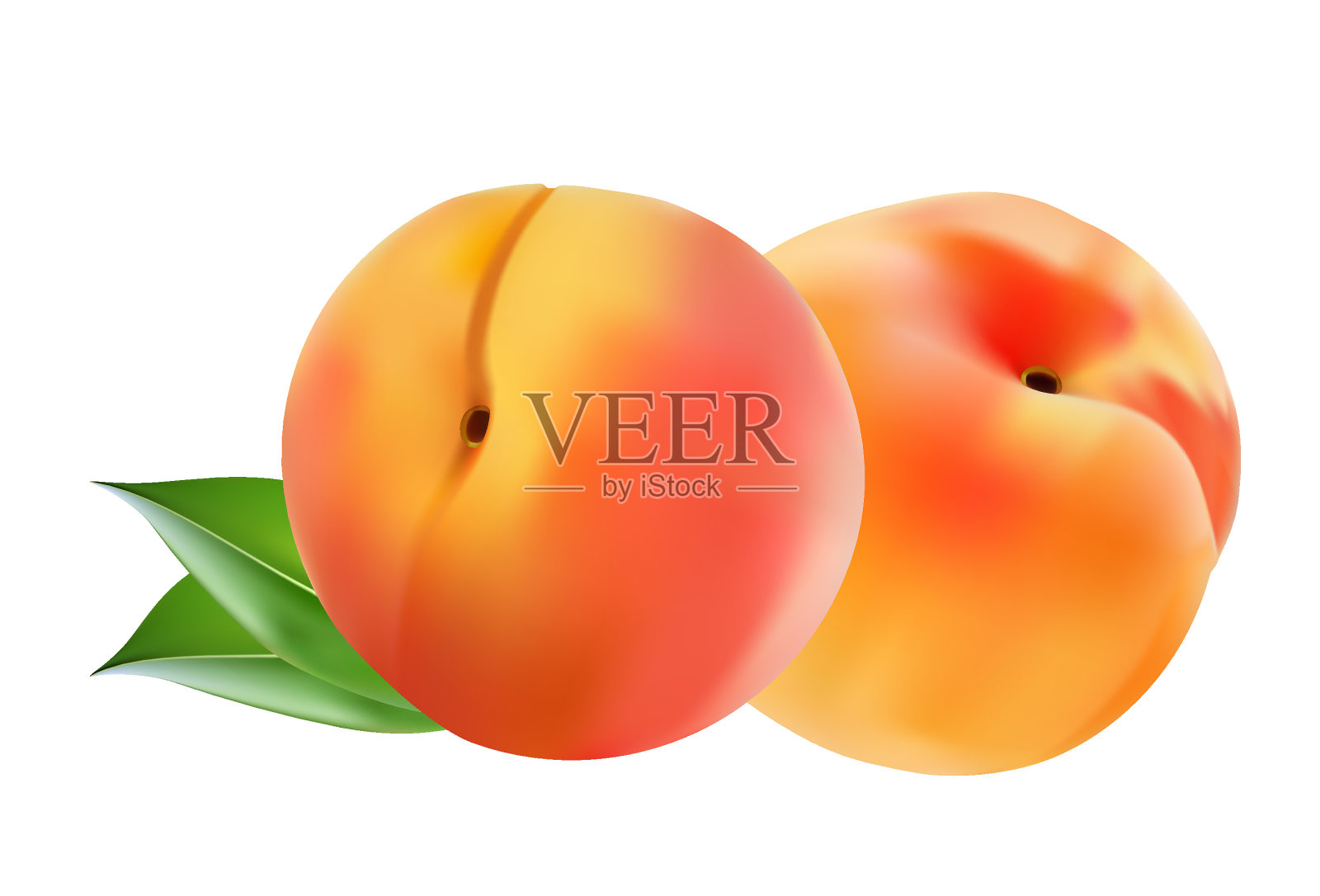 两个带叶子的成熟桃果。矢量插图。插画图片素材