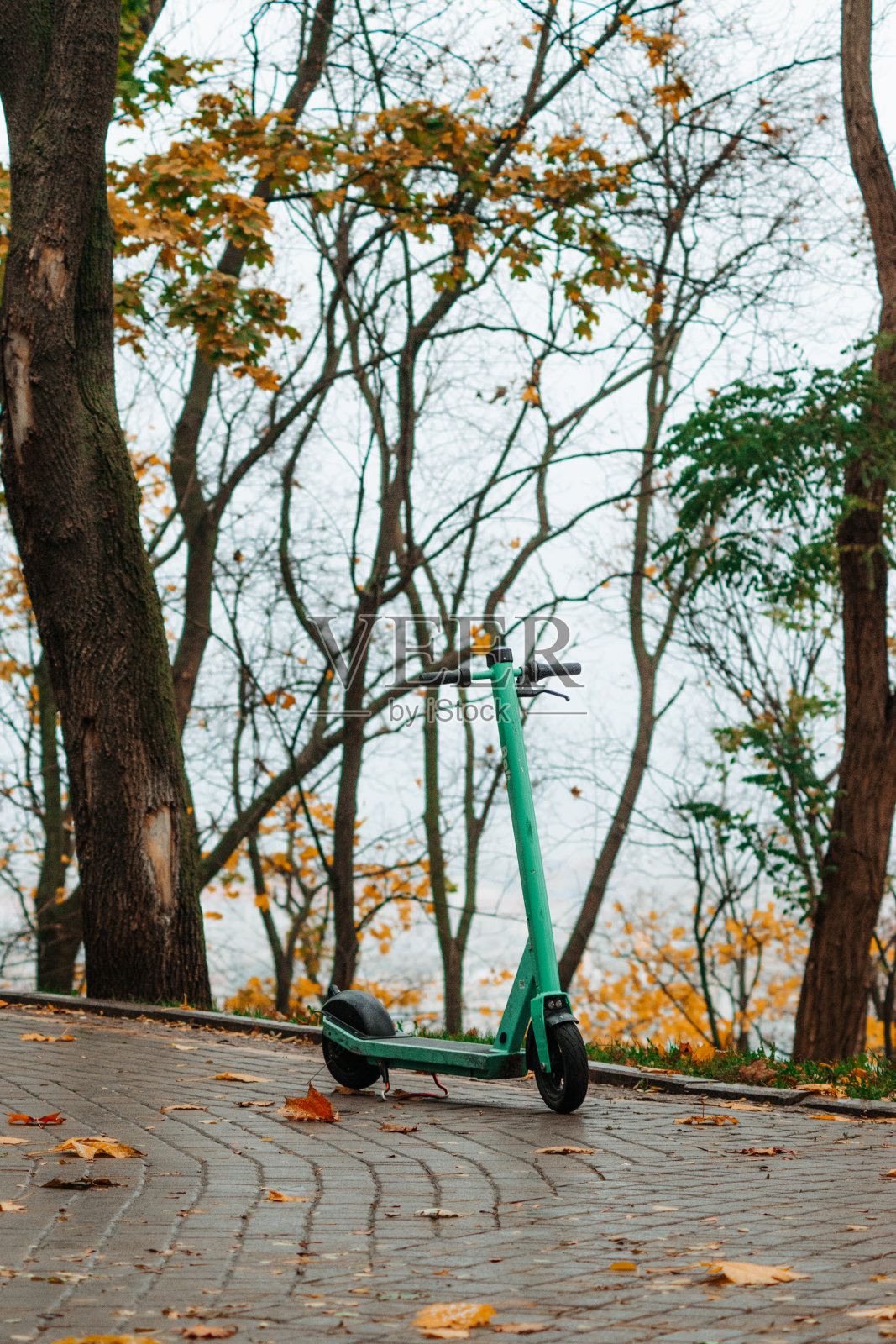 Volodymyrska Garka公园,金秋照片摄影图片