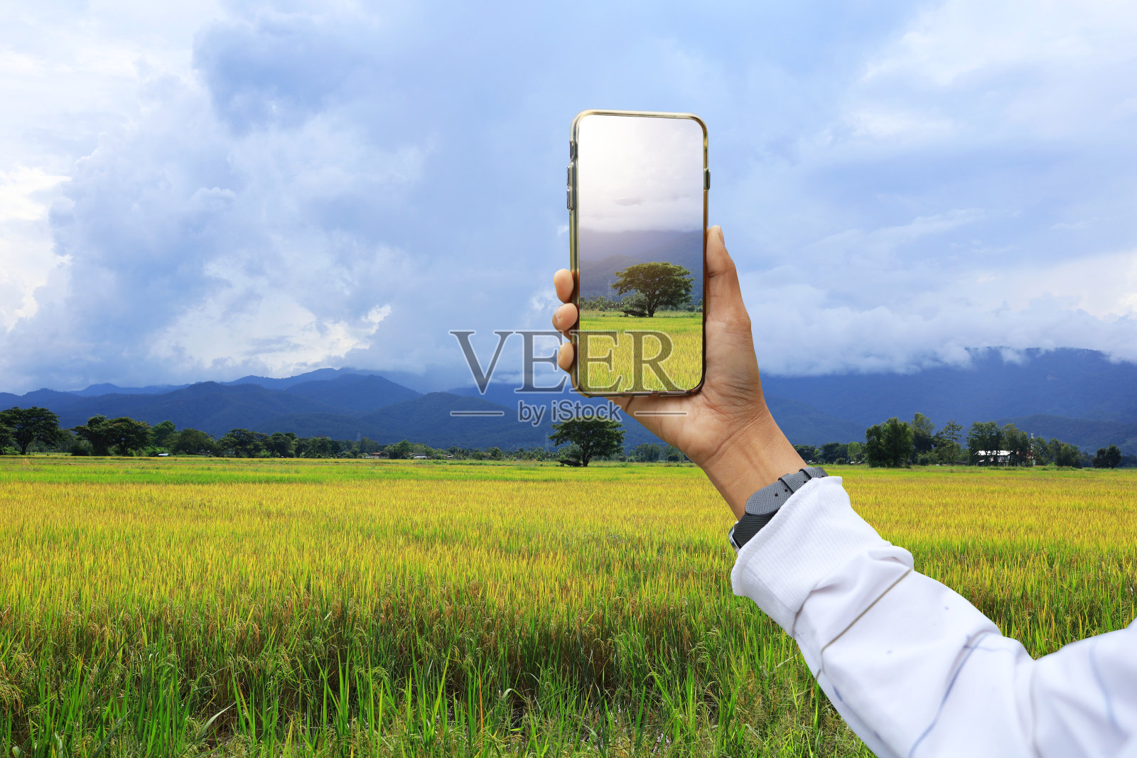 智能手机相机照片摄影图片