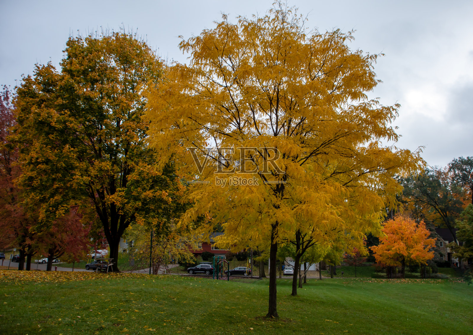 Otono照片摄影图片