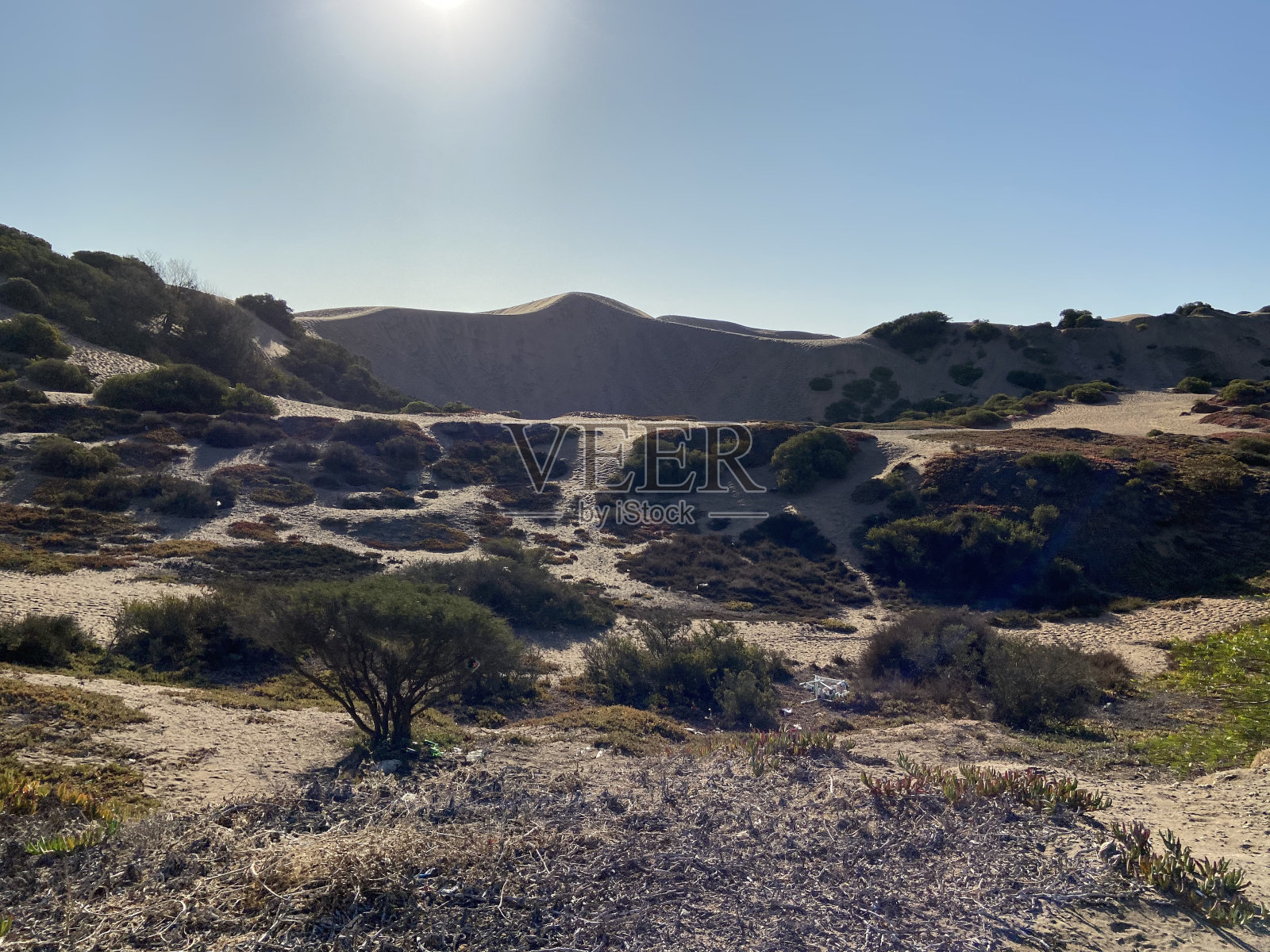 孔孔沙丘,瓦尔帕莱索-智利照片摄影图片