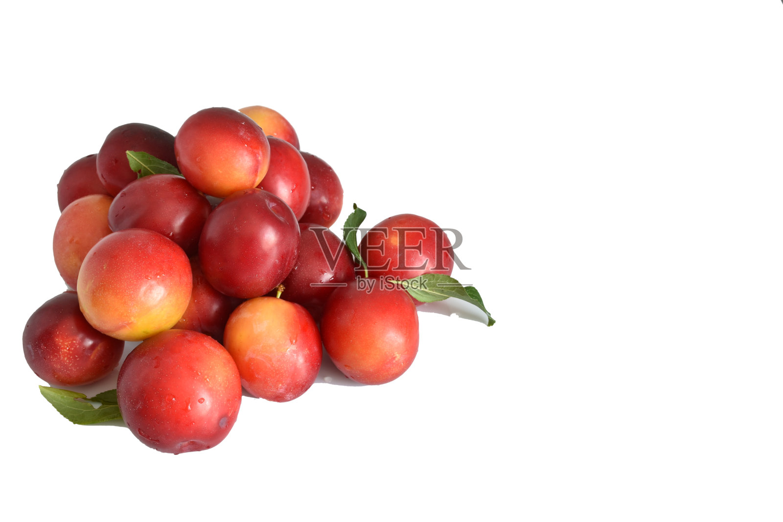 成熟的李子在白色的背景上。照片摄影图片