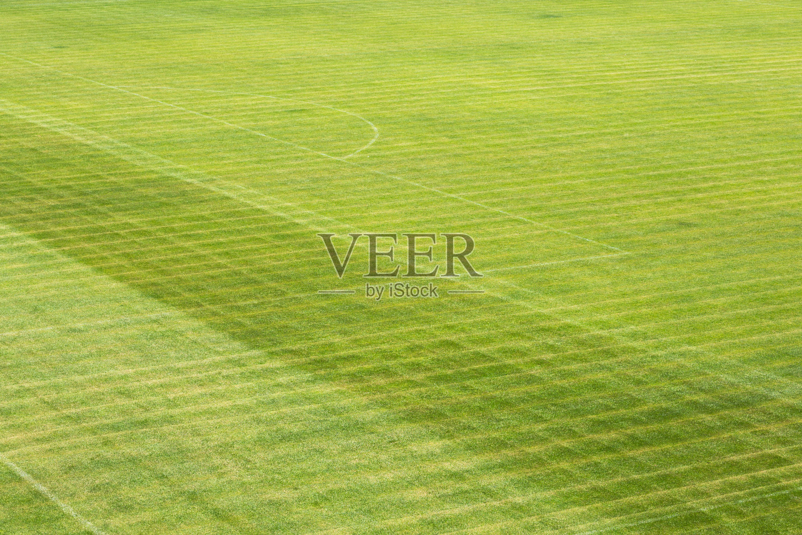 PATTERN-GREEN-GROUND照片摄影图片