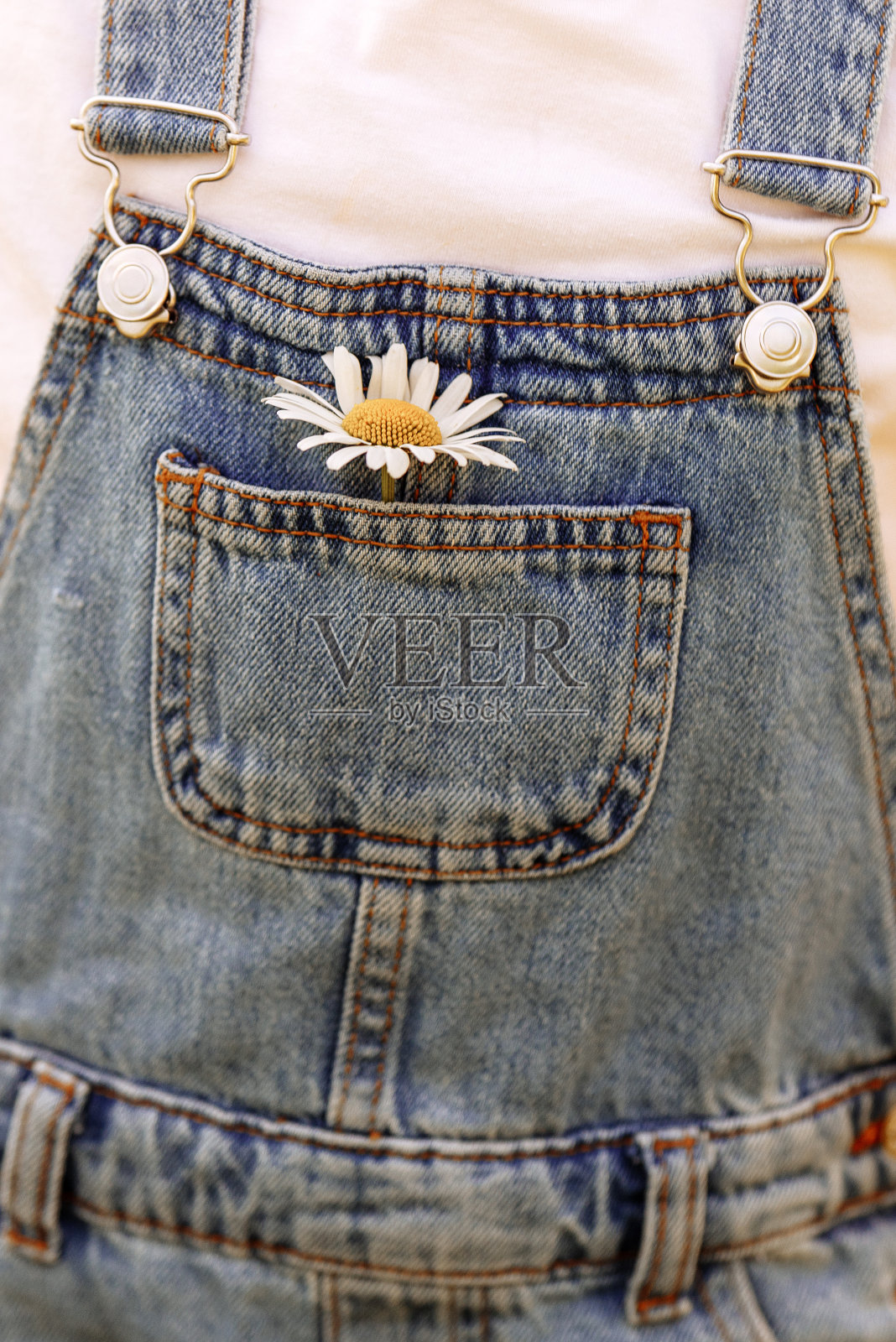 牛仔工装裤,口袋里有雏菊照片摄影图片