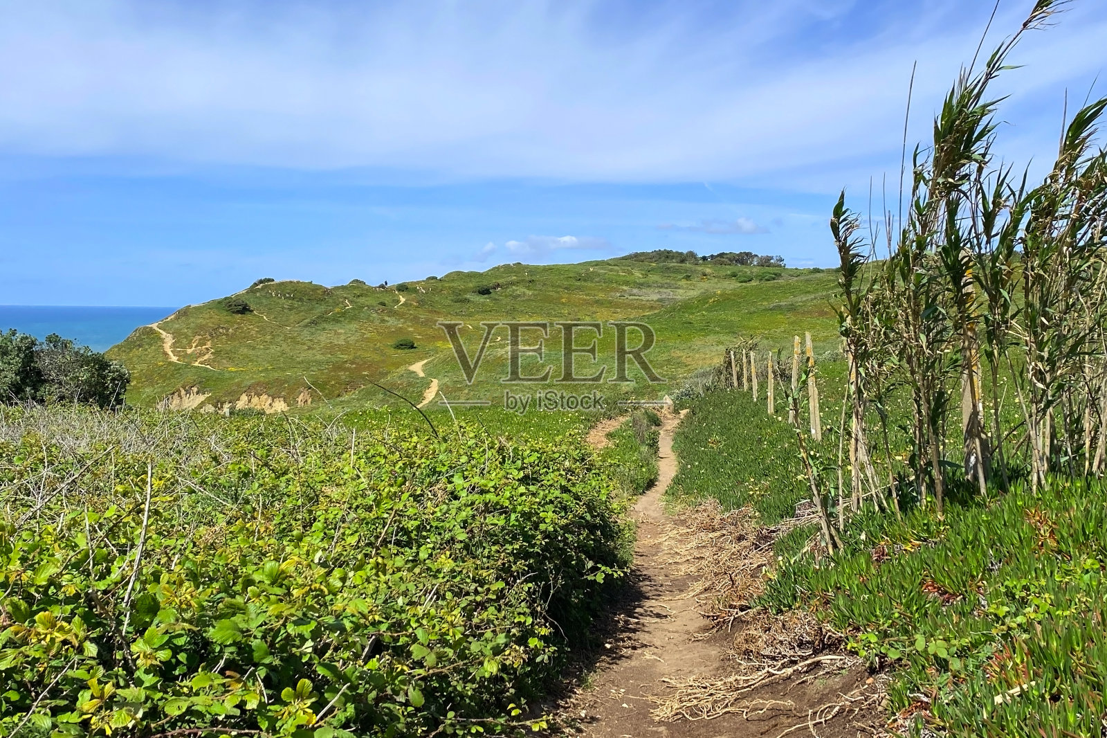 葡萄牙罗卡角,沿着大西洋的悬崖徒步旅行照片摄影图片