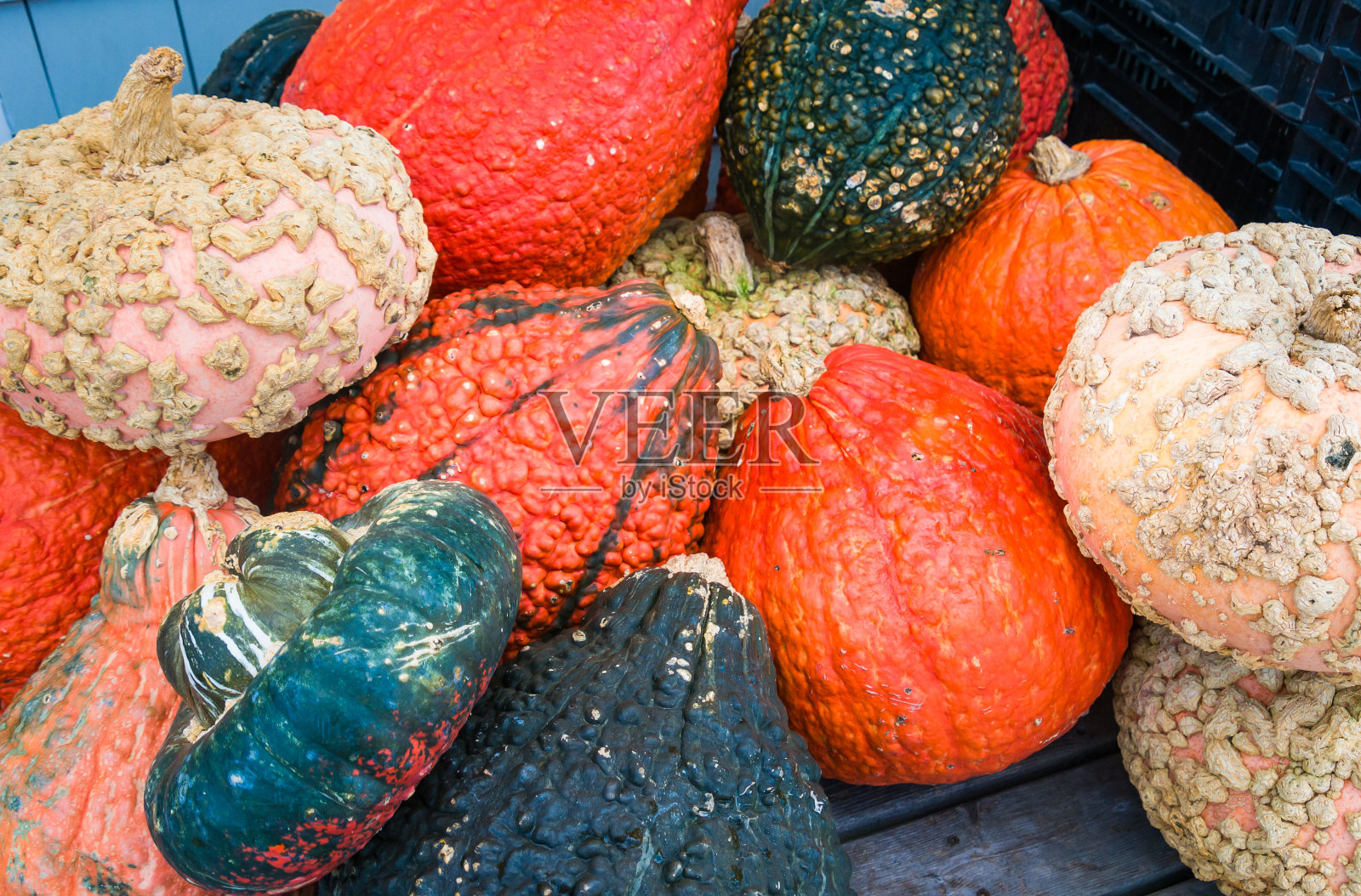 南瓜和葫芦照片摄影图片