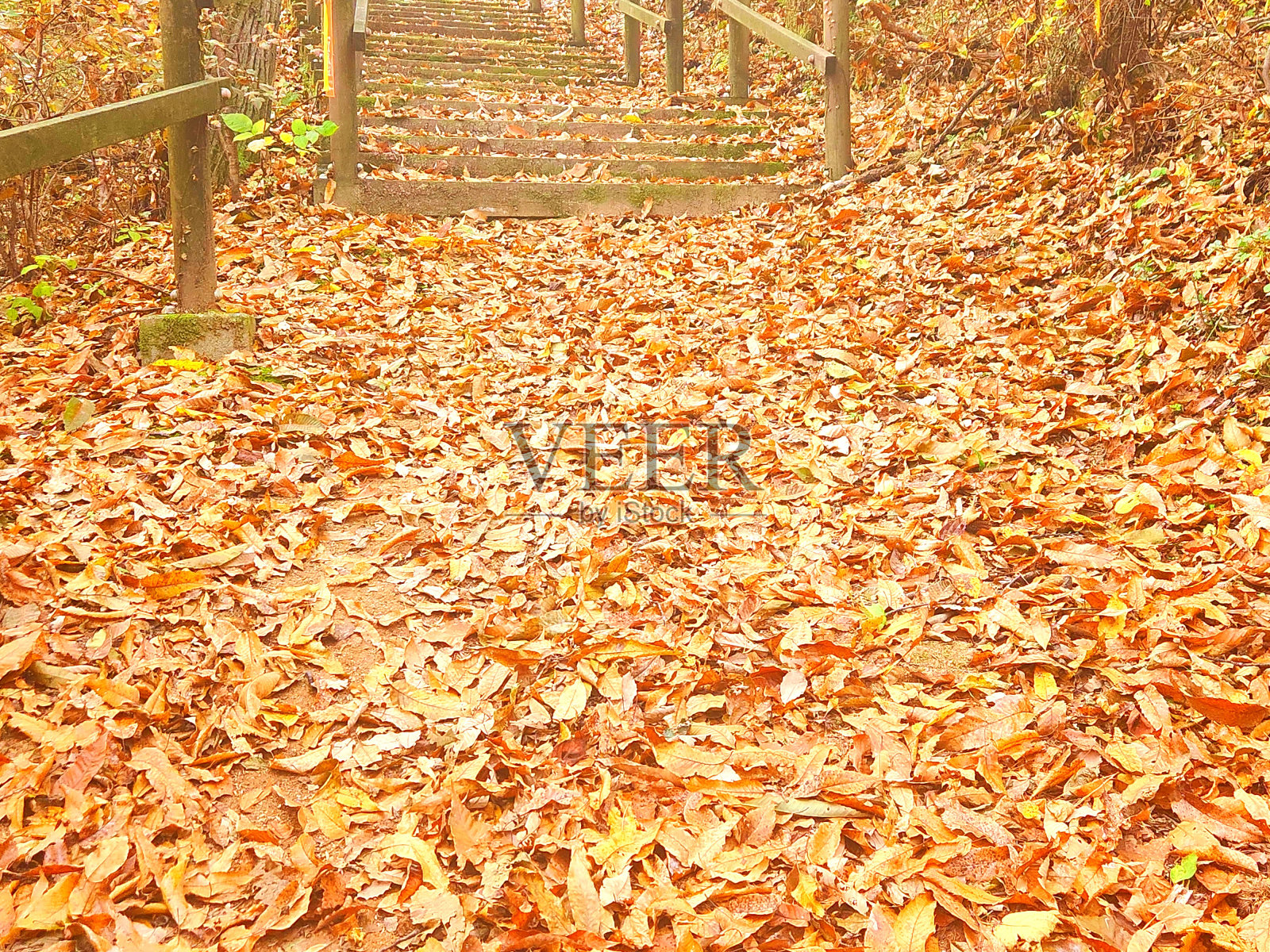 vh560 - 000大清湖秋1.jpg照片摄影图片