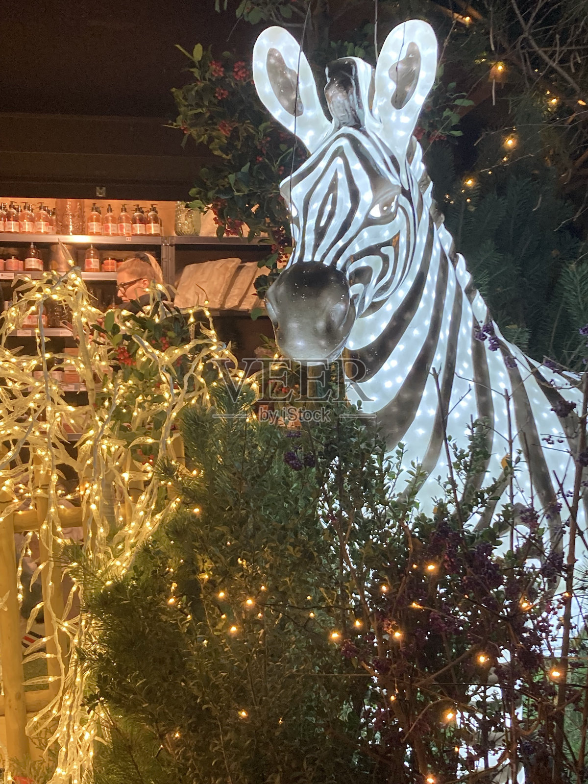 瑞士-斑马和圣诞市场照片摄影图片