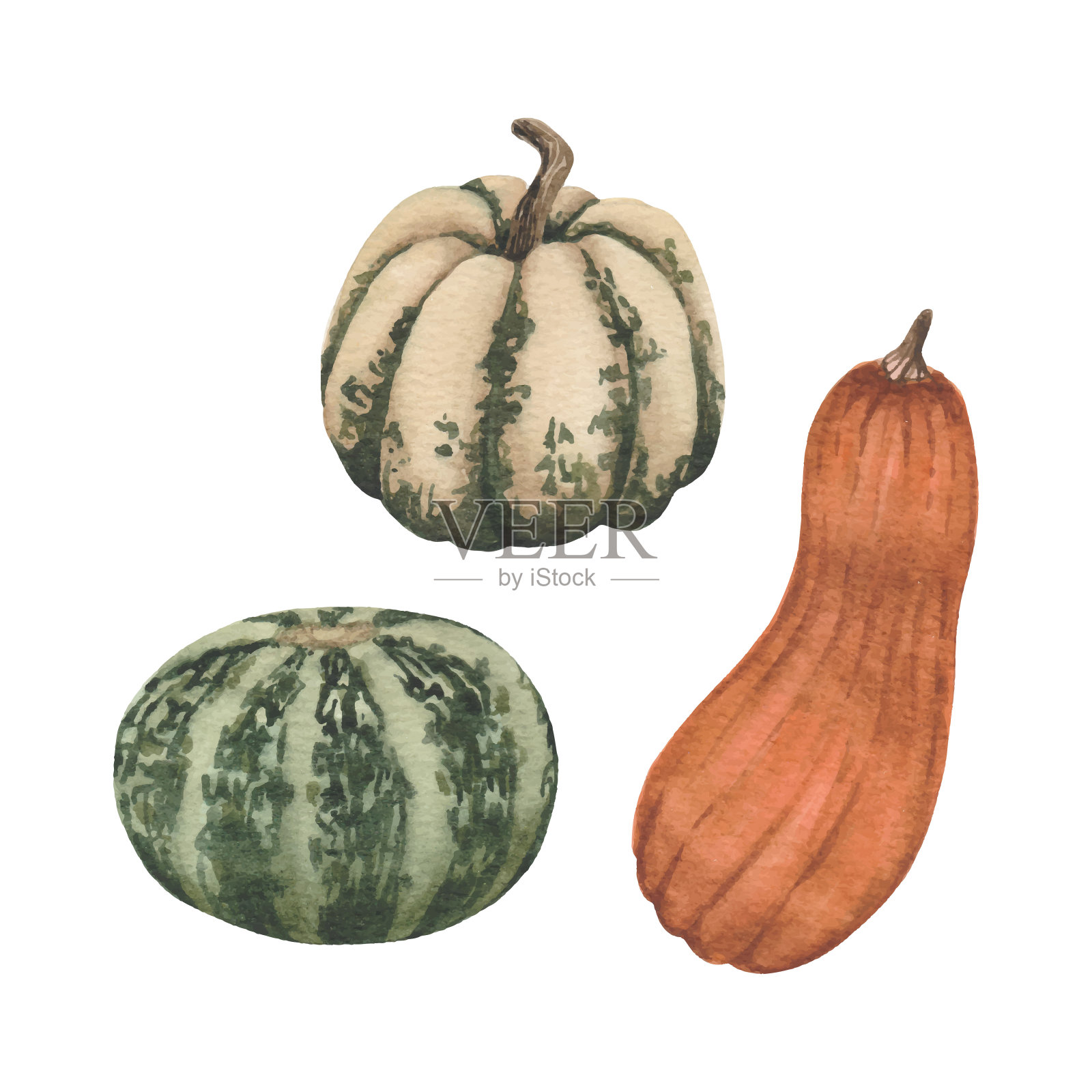 水彩画不同的南瓜插画图片素材