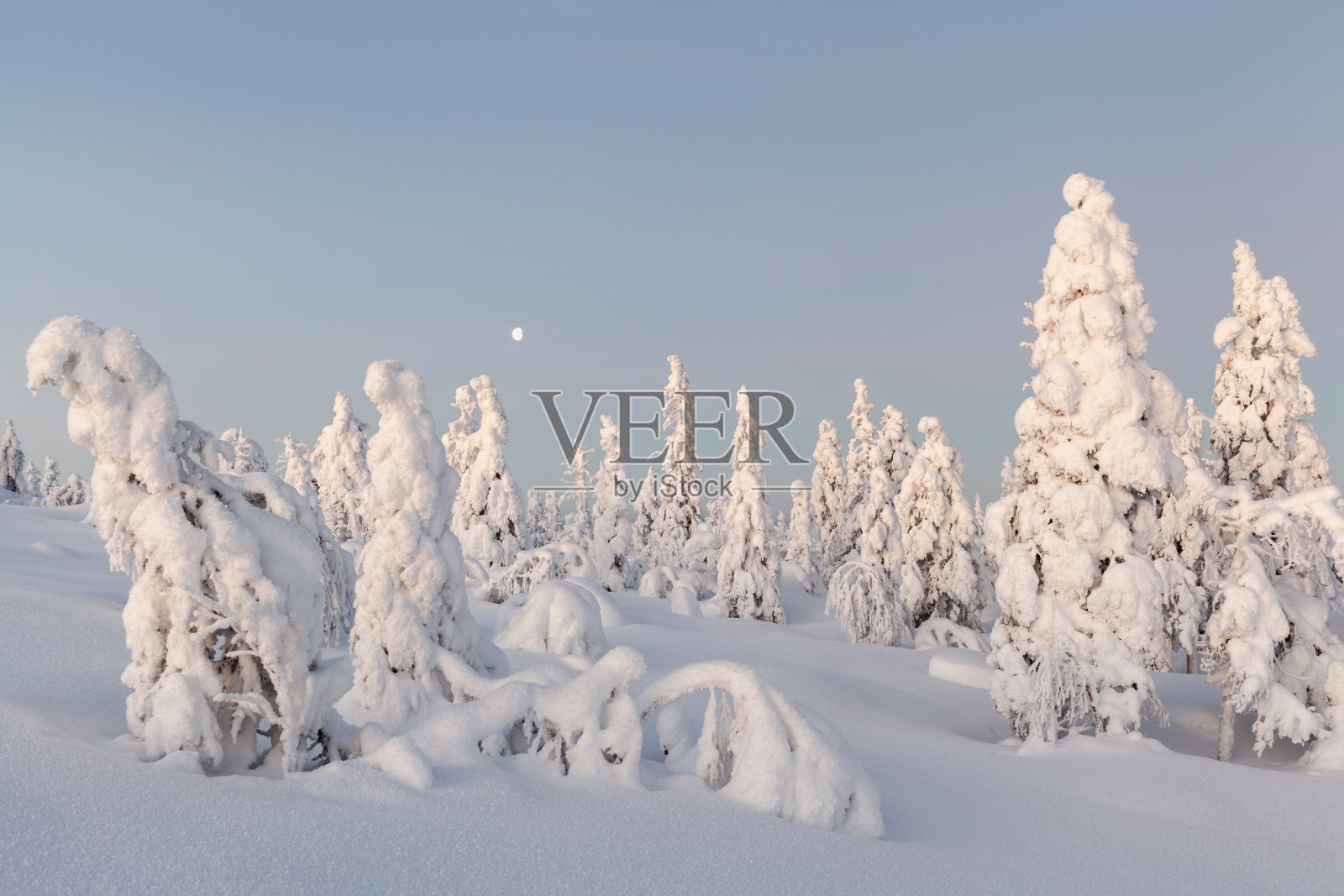 冬季仙境照片摄影图片