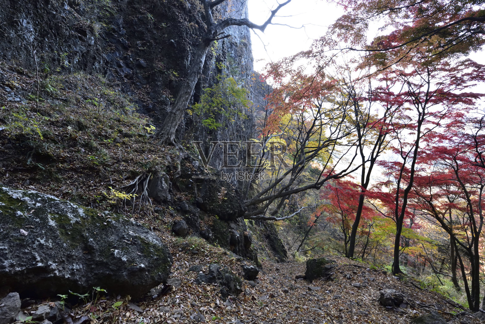 攀登岩壁山,群马县,日本照片摄影图片