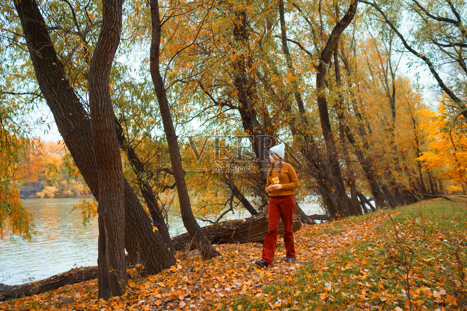 一个十几岁的女孩穿过秋天的森林,沿着河岸散步,欣赏美丽的大自然和明亮的黄色树叶照片摄影图片