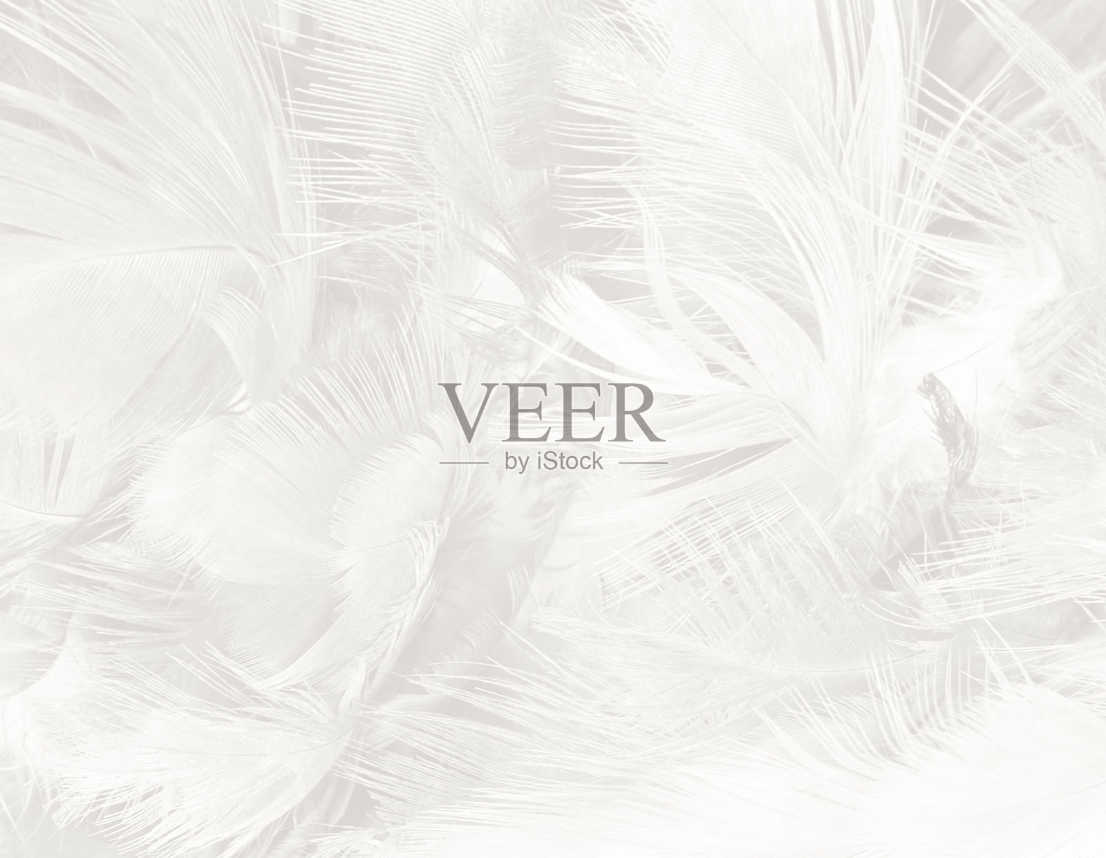 白色羽毛毛茸茸的图案纹理背景照片摄影图片