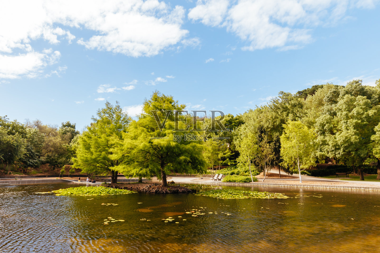 澳大利亚维多利亚州贝里克的威尔逊植物园照片摄影图片