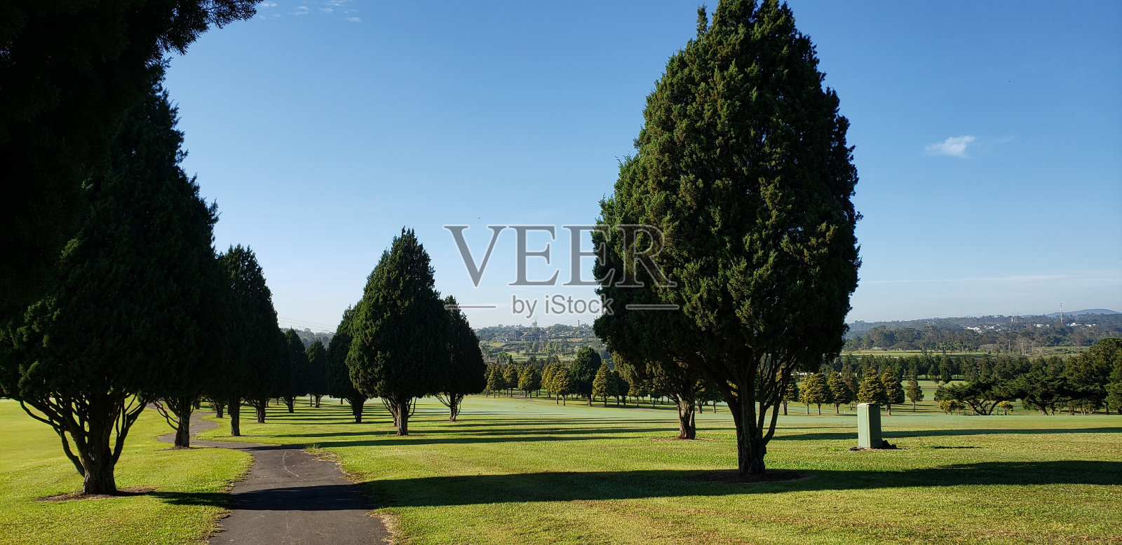 有树的田野小径照片摄影图片