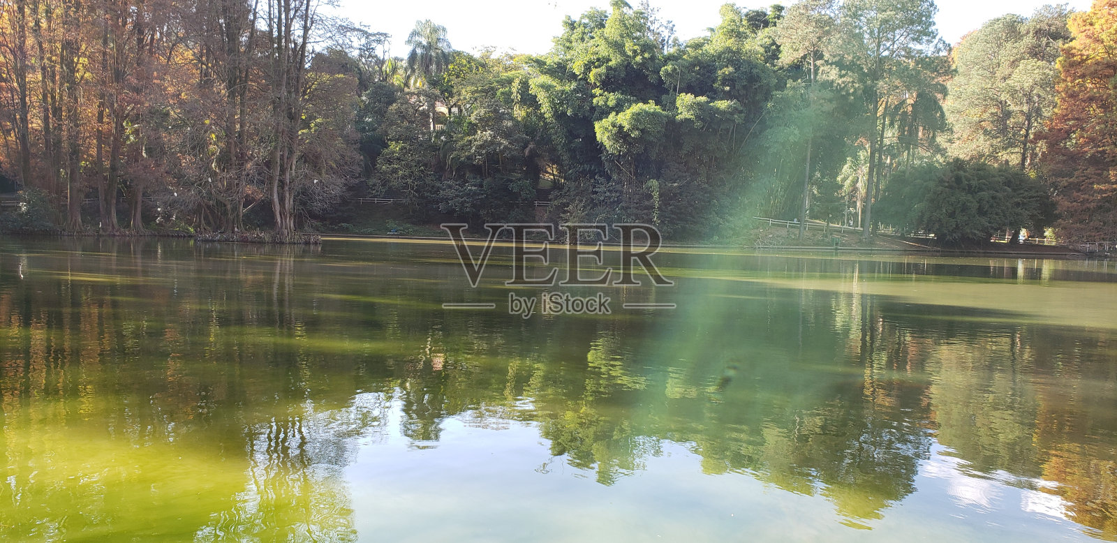 绿色的湖照片摄影图片