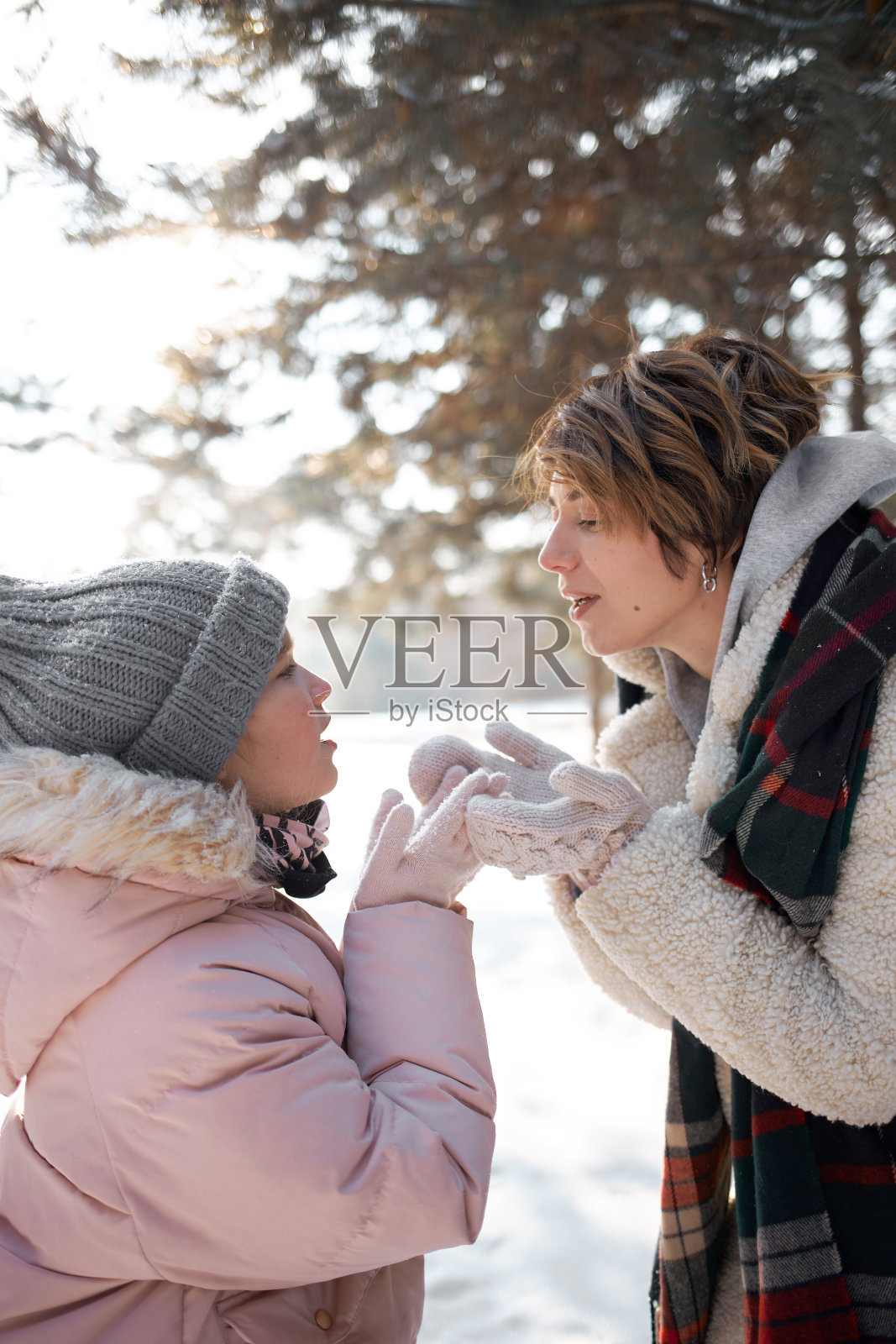 冬日森林里幸福的一家人。高质量照片照片摄影图片