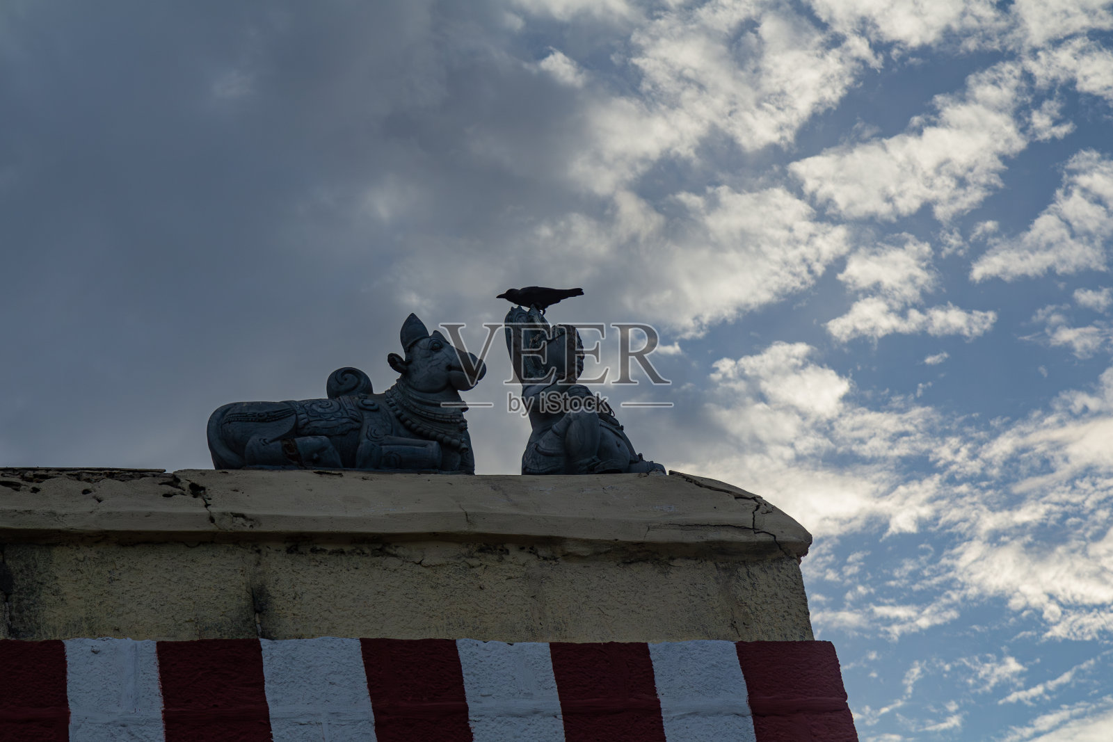 乌鸦坐在雕像上照片摄影图片
