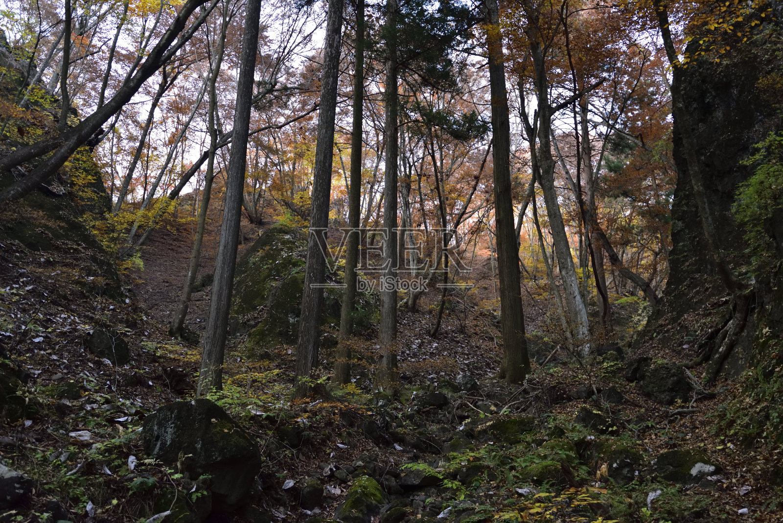 攀登岩壁山,群马县,日本照片摄影图片