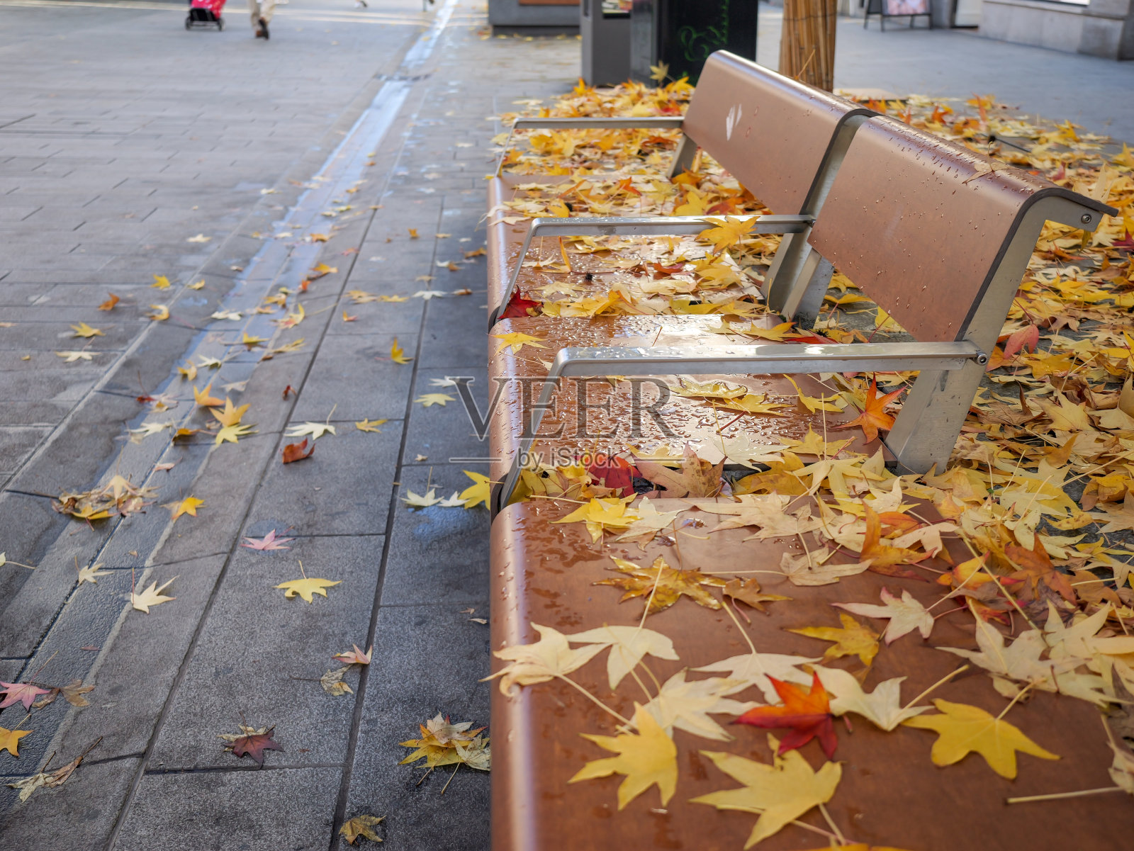 在市中心的长椅上,黄色的树叶躺在长椅上照片摄影图片