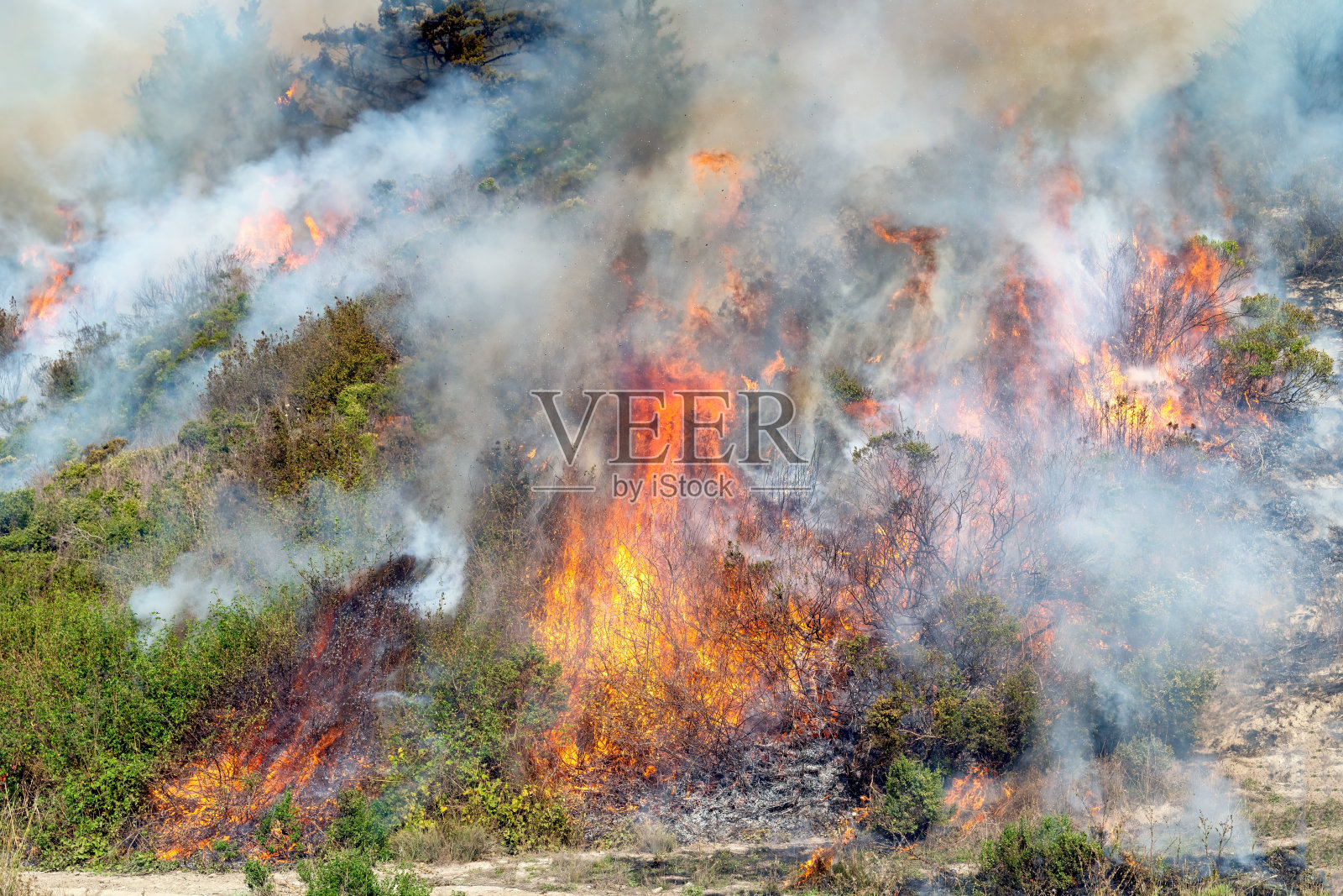 加州野火照片摄影图片