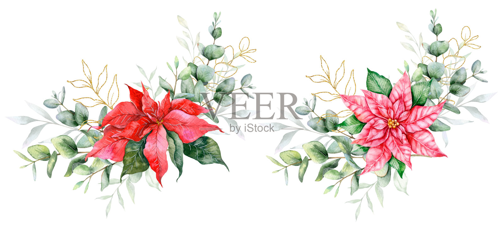 桉树和一品红圣诞花束手绘水彩插图。完美的婚礼请柬,花卉标签,新娘淋浴和花卉贺卡插画图片素材