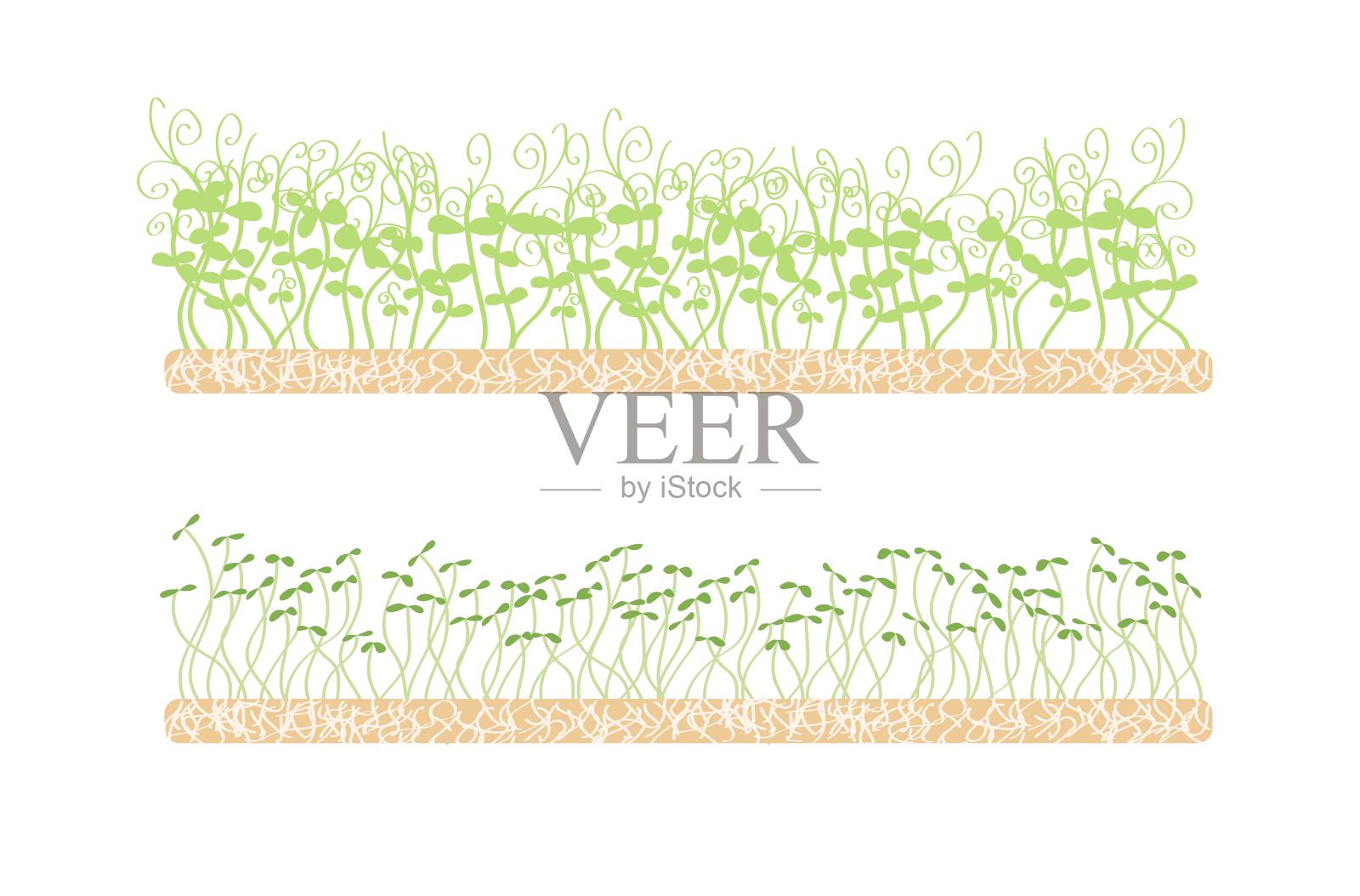 亚麻垫子上的新鲜嫩芽。插画图片素材