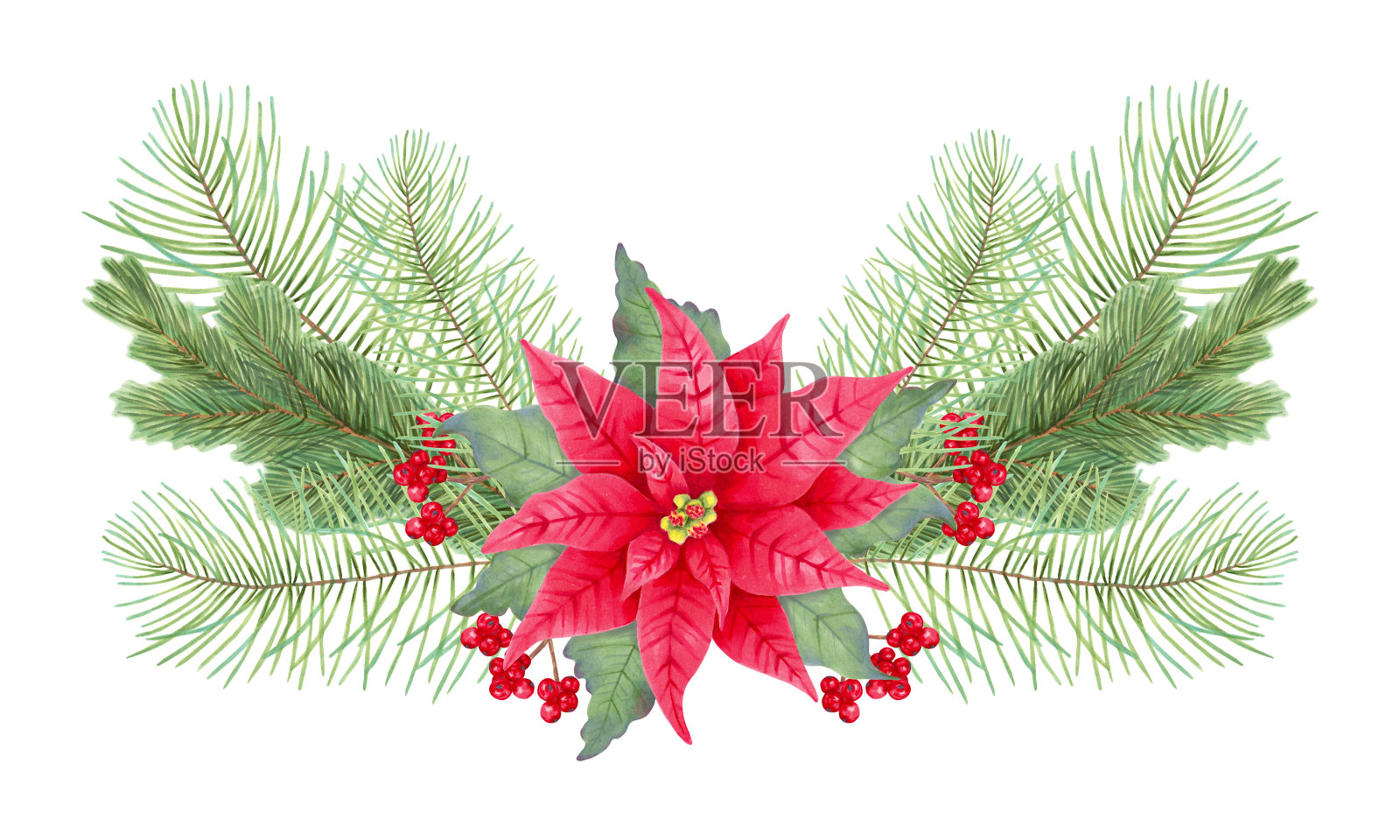 圣诞花束有冬青浆果,一品红,树叶,松树,云杉。节日作文为新年、圣诞节。插图与标记和水彩。插画图片素材