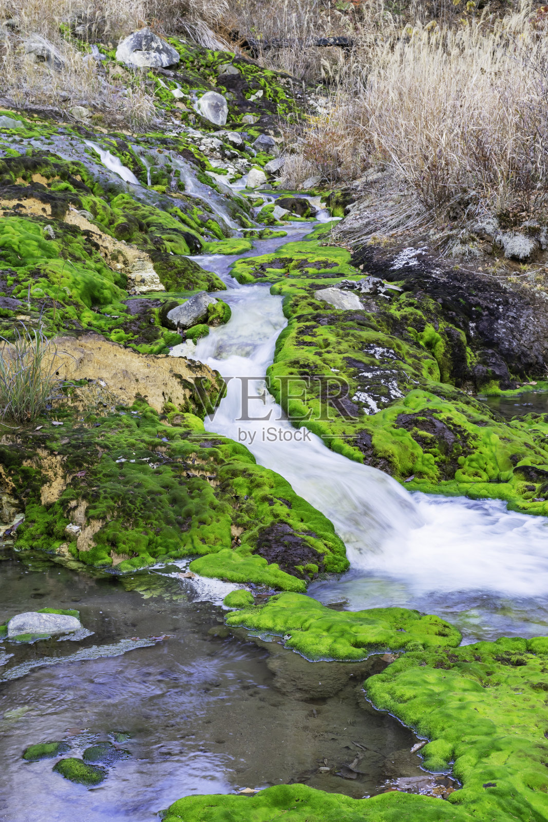 一条长着青苔的清溪照片摄影图片