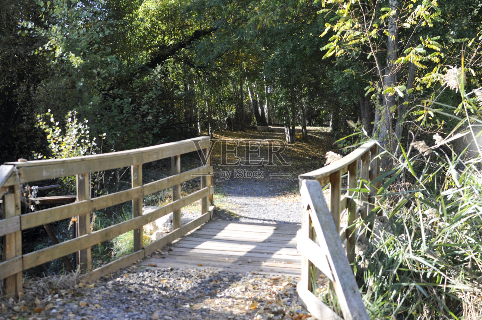 小木桥上的石径。照片摄影图片