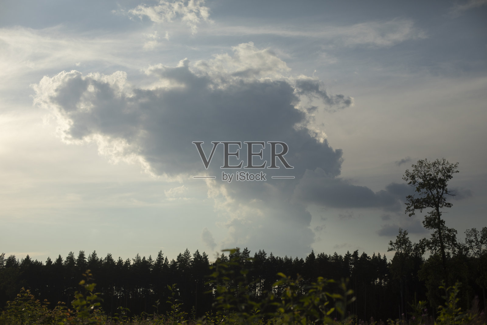 乌云笼罩着森林。夏天的风景。美丽的大自然。照片摄影图片