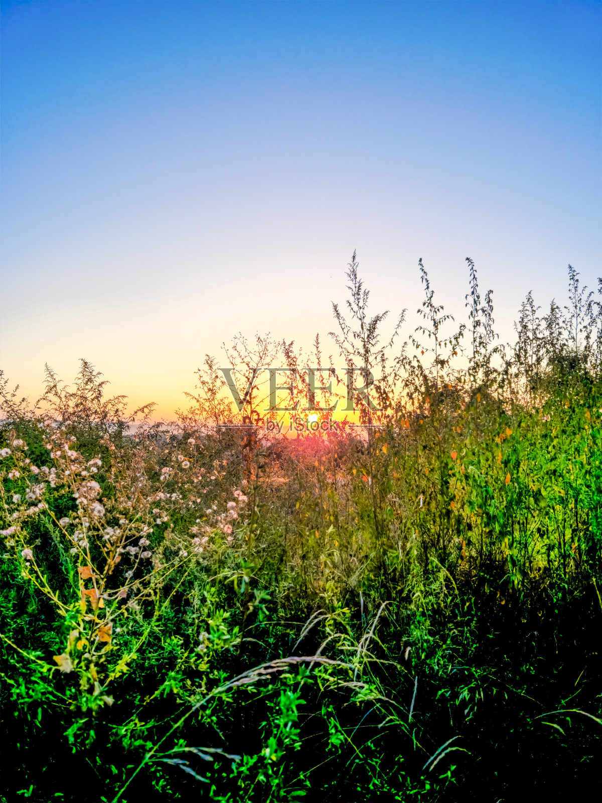太阳来了照片摄影图片
