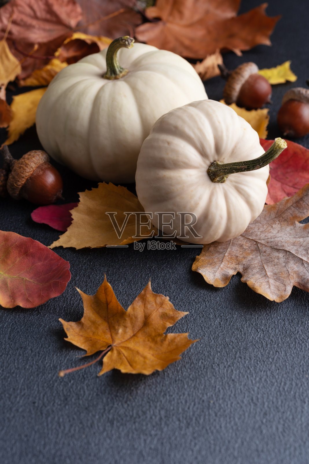 小的装饰南瓜和秋天的落叶照片摄影图片