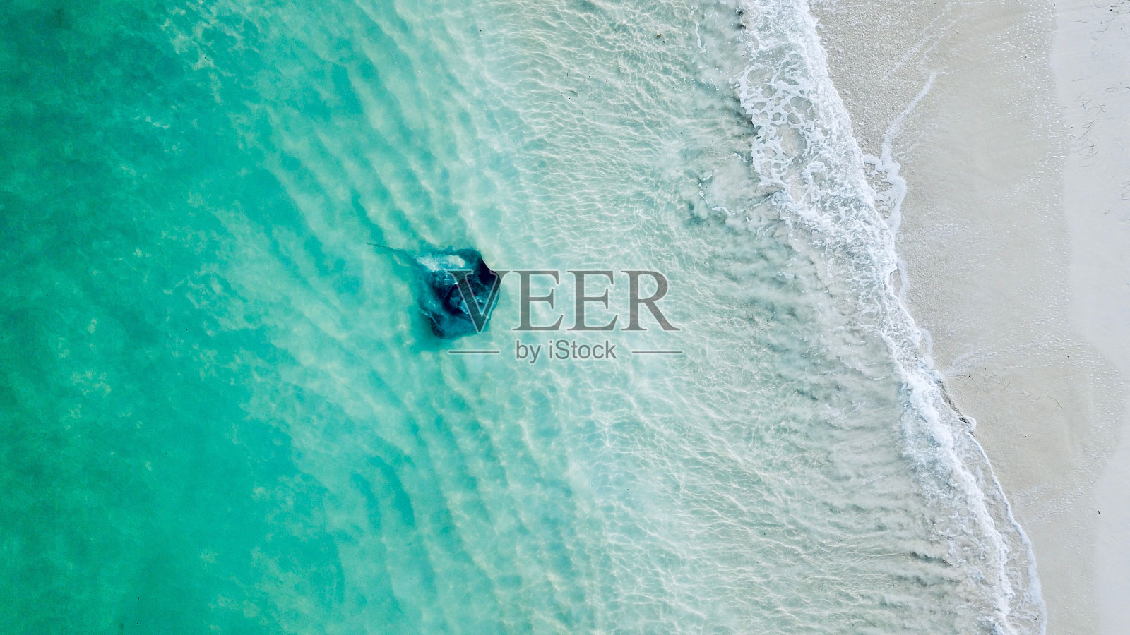 宁静的海滩与原始的沙子和一个平静的蓝绿色的背景海照片摄影图片