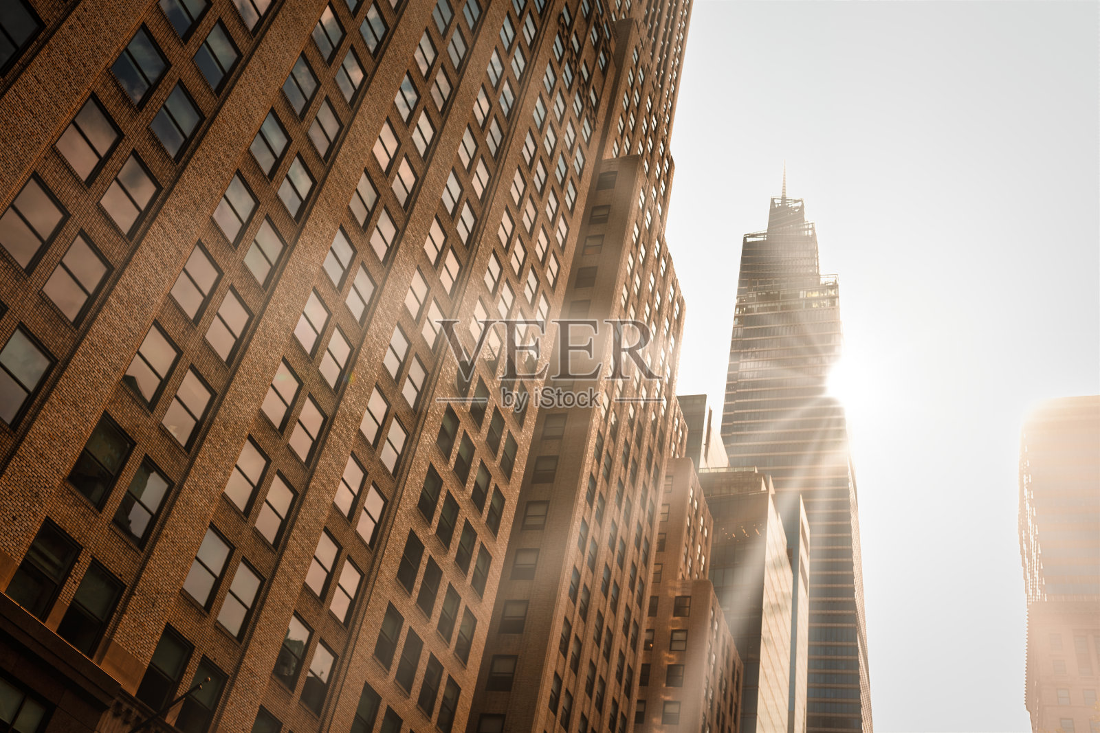 纽约市建筑照片摄影图片