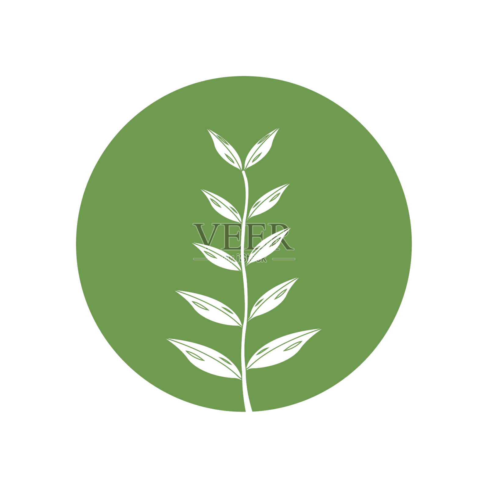 桉树油叶图标设计元素图片