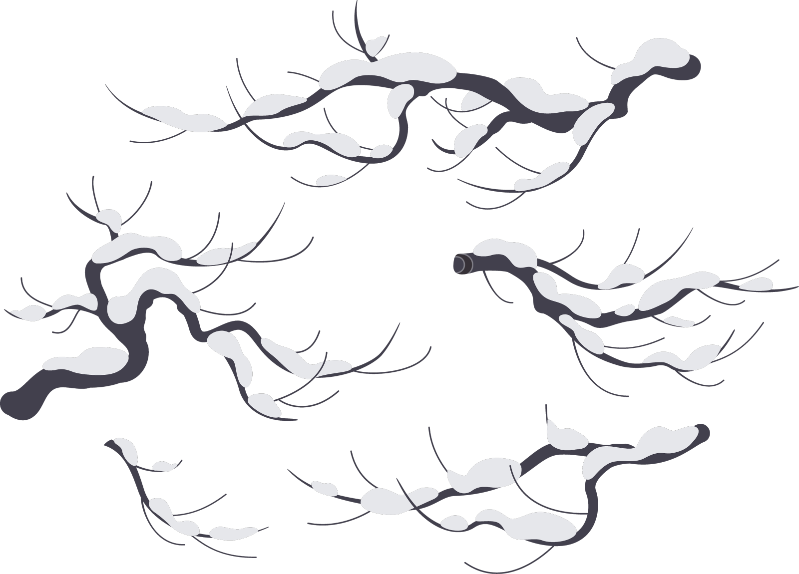 白雪覆盖的树枝孤立在白色上设计元素图片