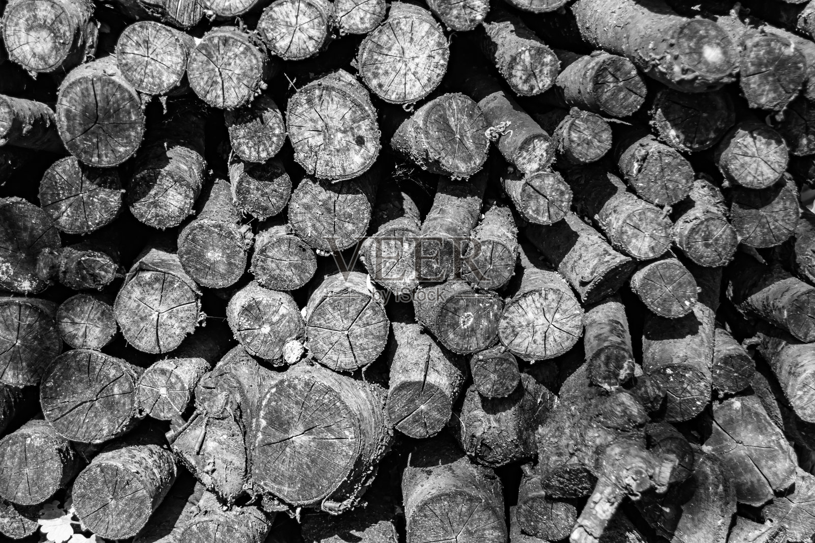 主题摄影大墙上的橡树原木在裂缝中堆叠照片摄影图片