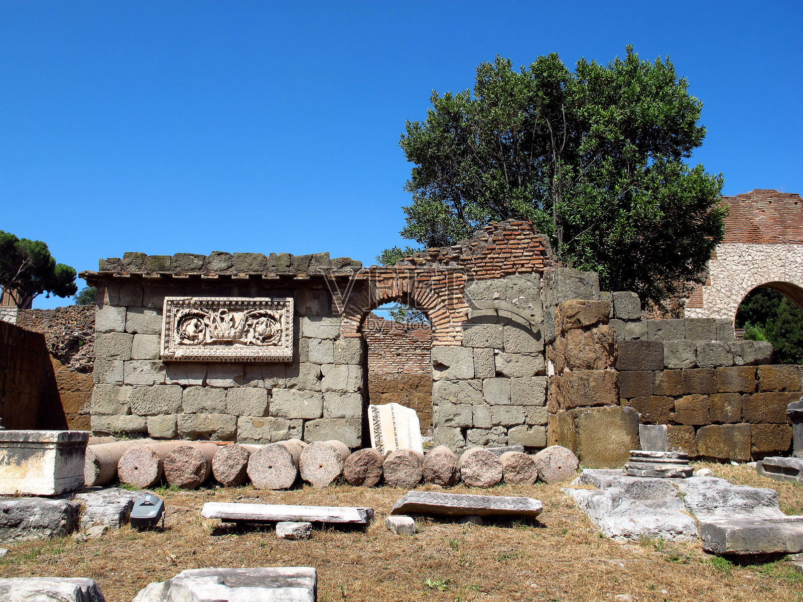 古罗马广场,意大利罗马照片摄影图片