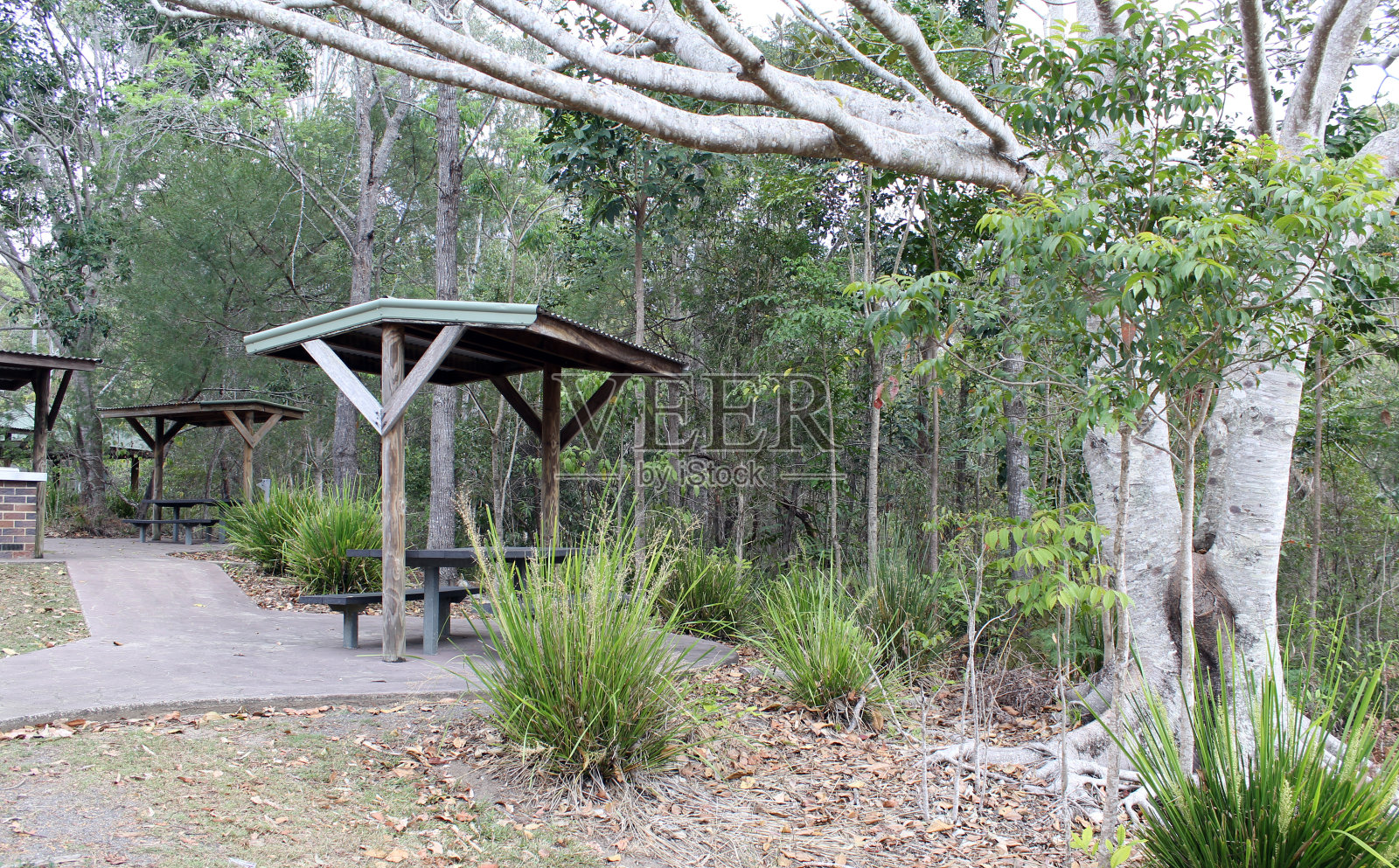 澳大利亚昆士兰州Maleny附近的Baroon Pocket坝上的野餐桌、树木和植物照片摄影图片