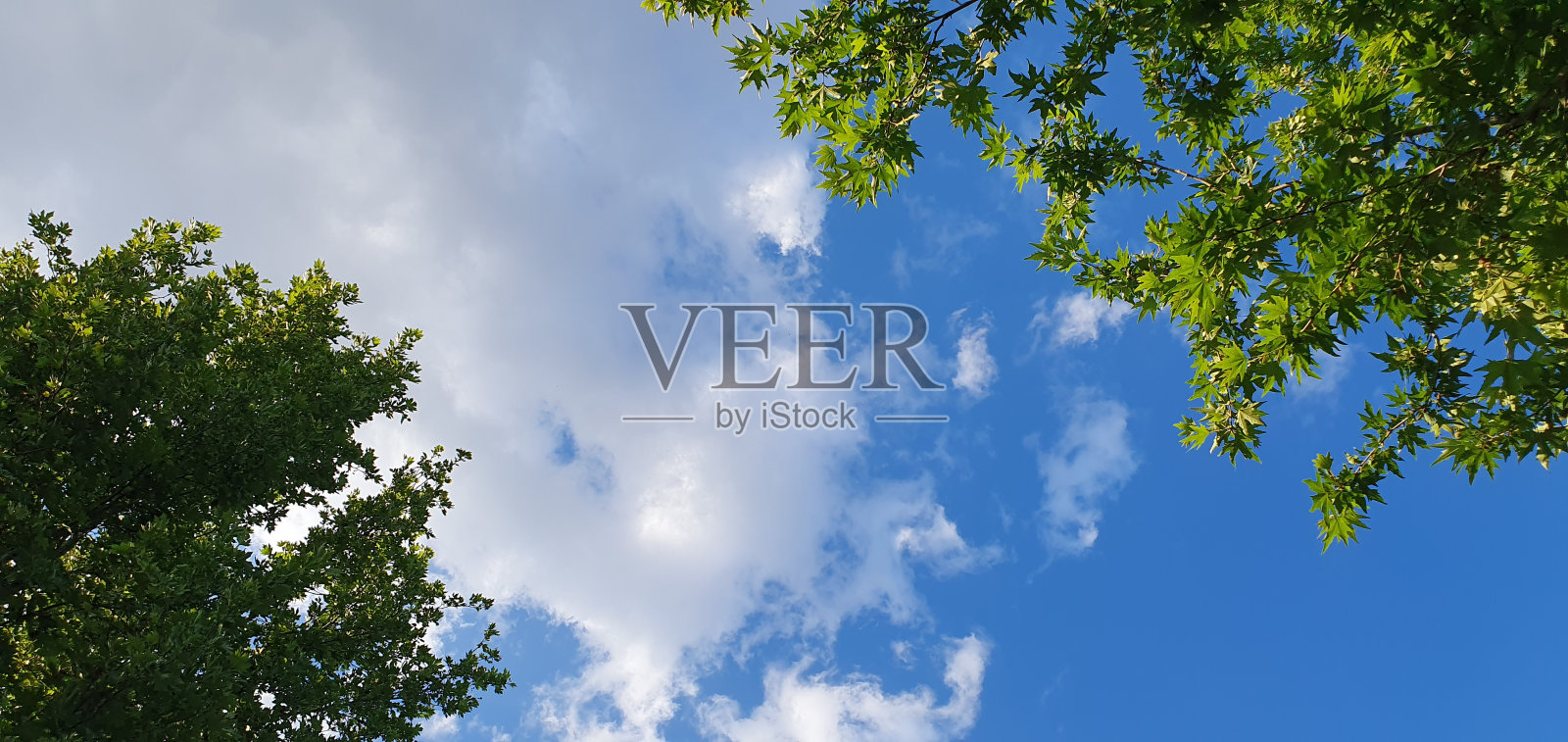 天空和云照片摄影图片