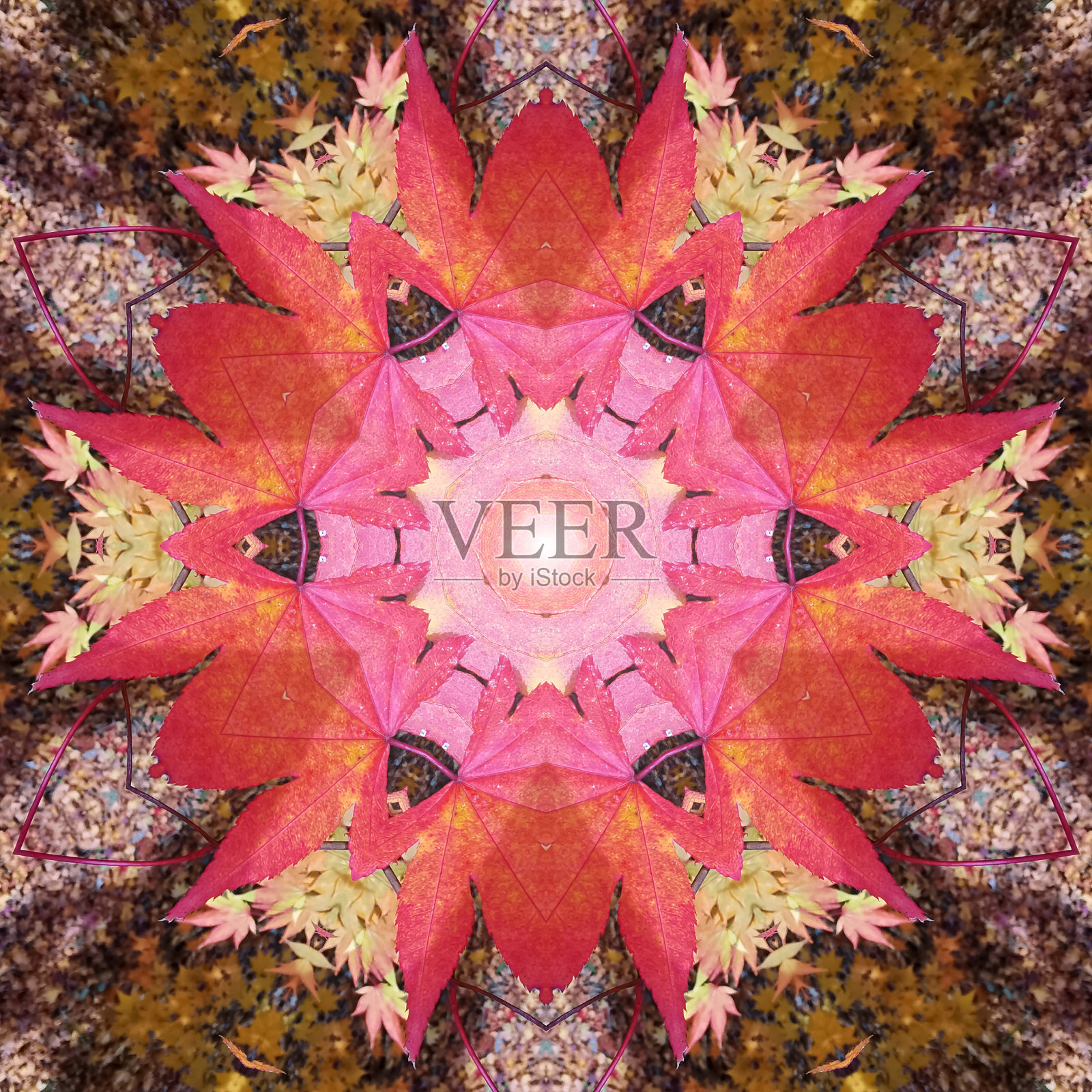 秋叶万花筒照片摄影图片