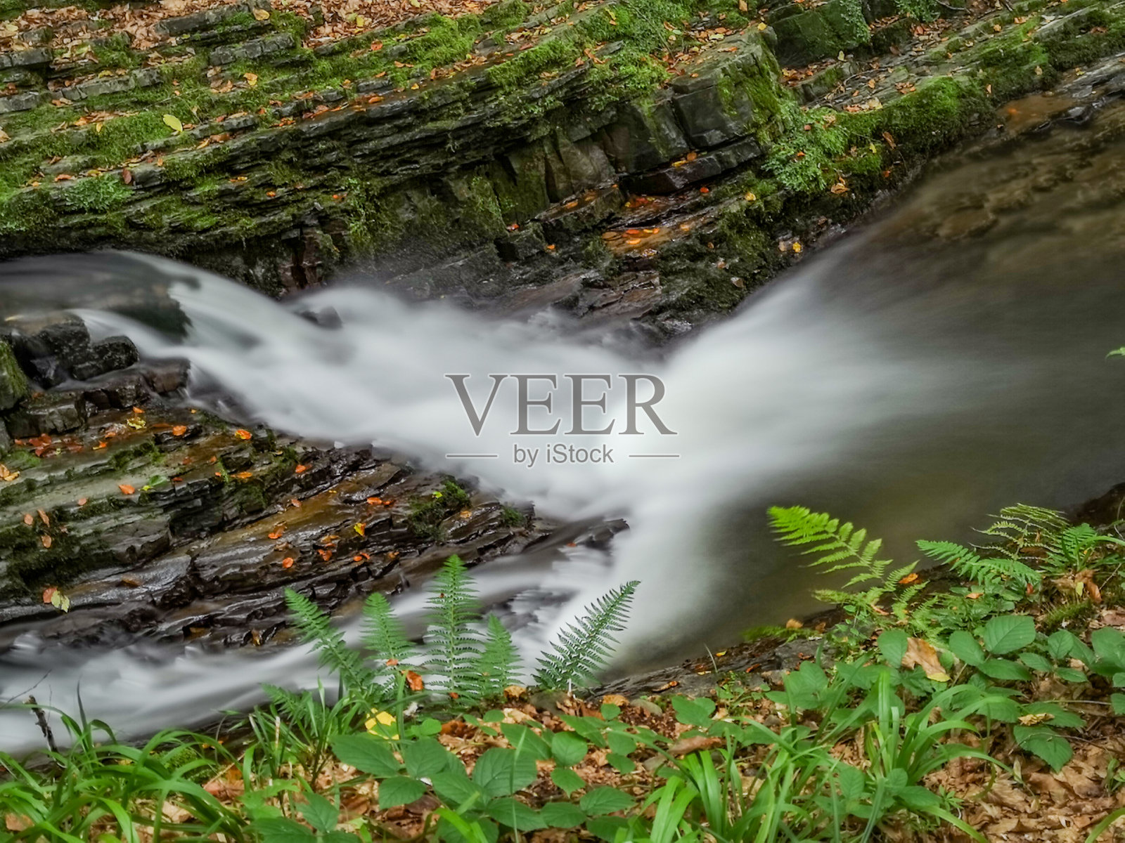 山间狂风暴雨的河流在秋天的森林里照片摄影图片