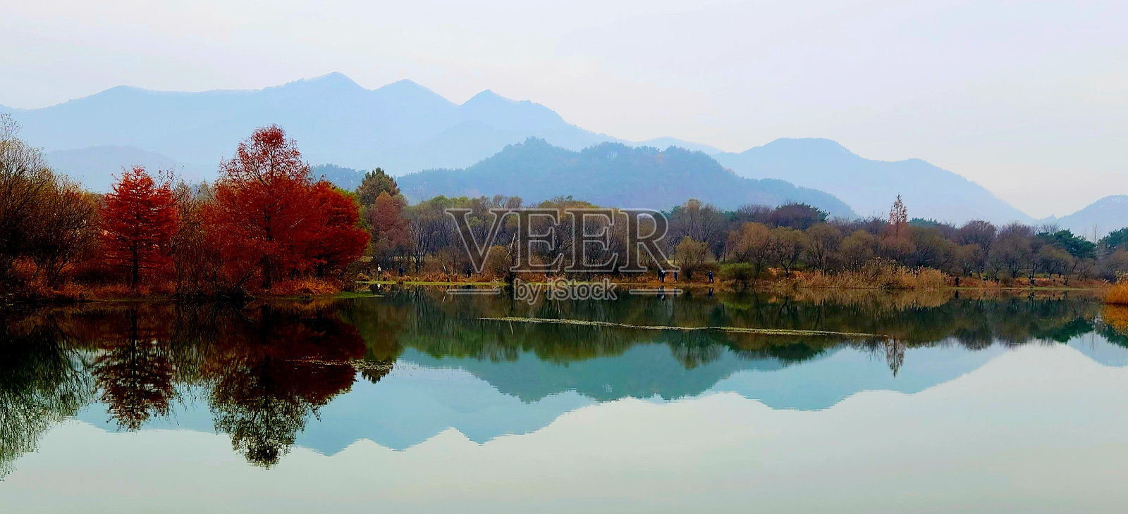 vh5560000永达和1.jpg照片摄影图片