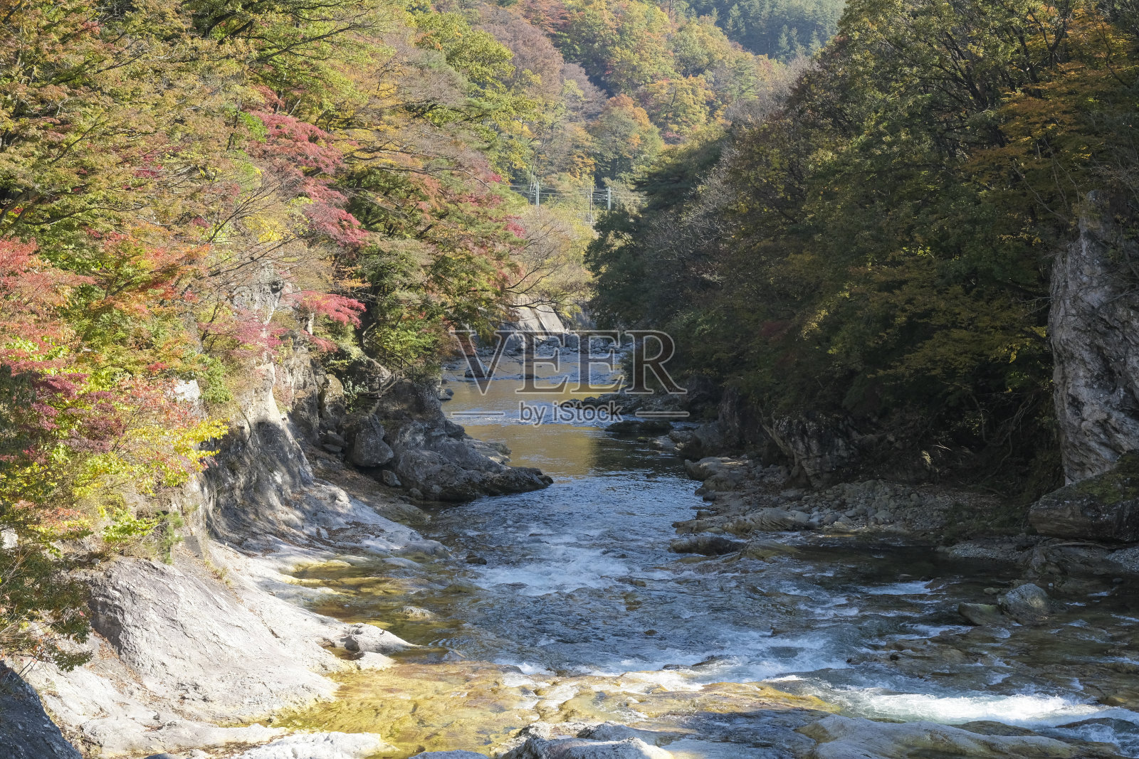 秋叶和Tone河照片摄影图片
