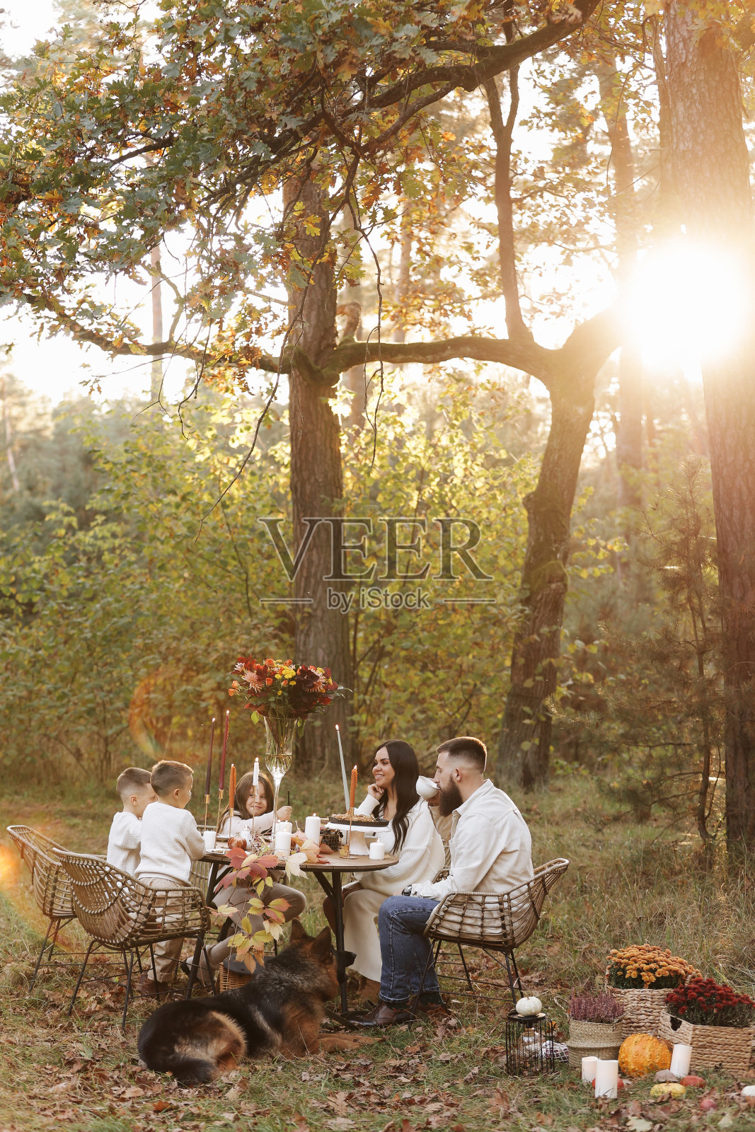 家庭日快乐。年轻的爸爸,妈妈,孩子的女儿,两个小儿子,大狗在秋天的公园里野餐,坐在桌子旁。孩子的一天。家庭舒适,关系,沟通的概念照片摄影图片
