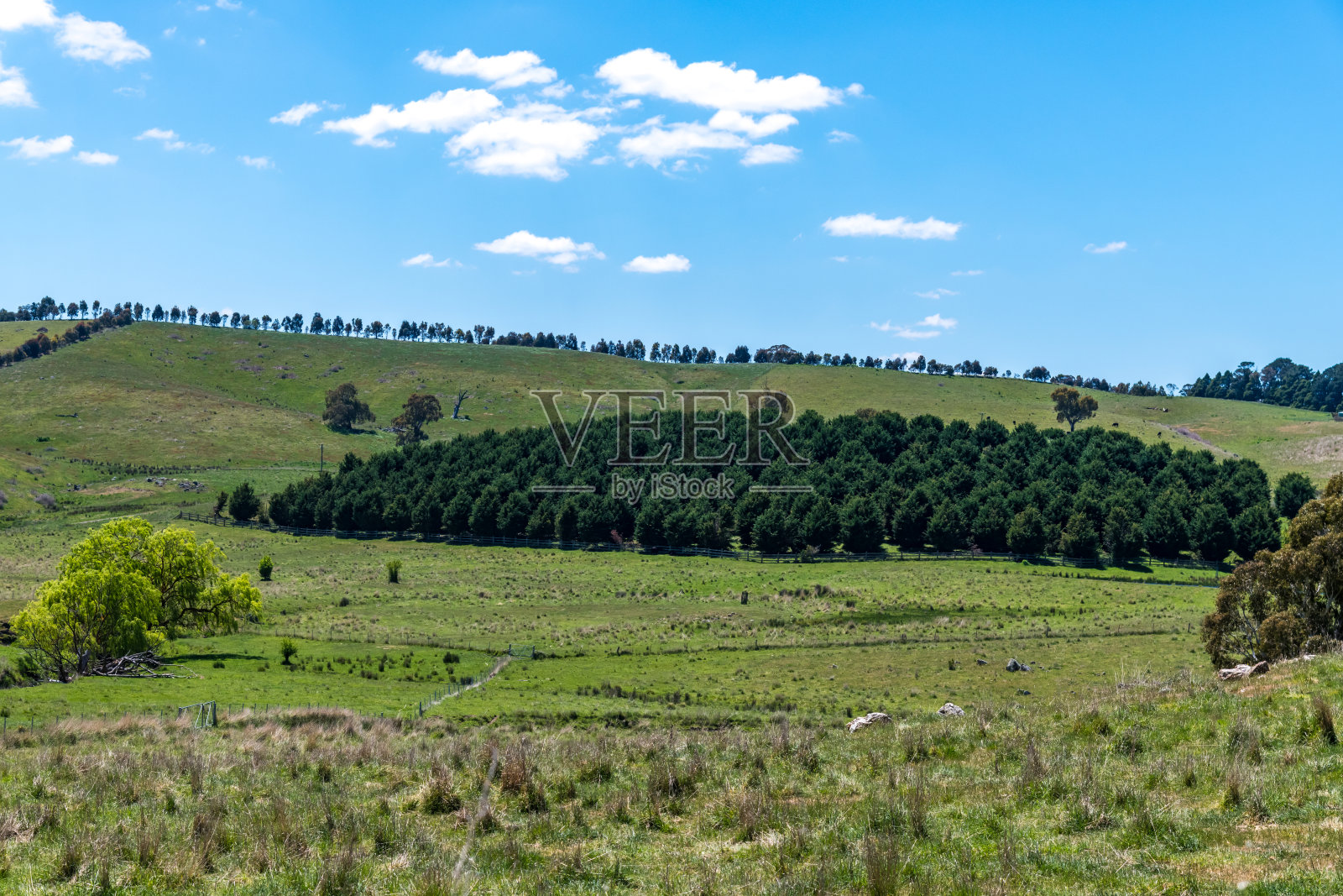 在一个春日的乡间照片摄影图片