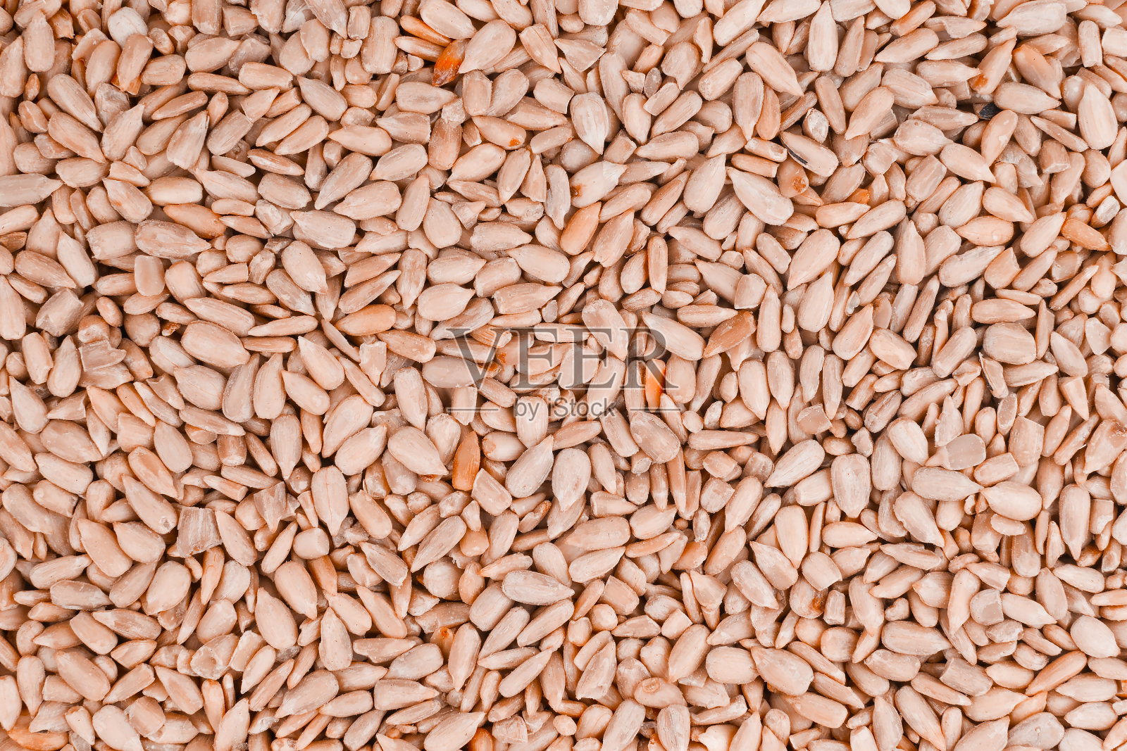 向日葵种子的图像-背景,细节照片摄影图片