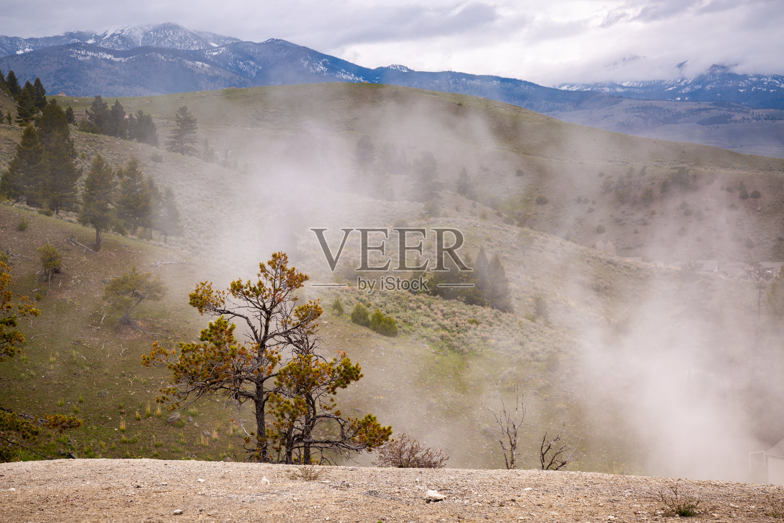 美国怀俄明州黄石国家公园景观。照片摄影图片