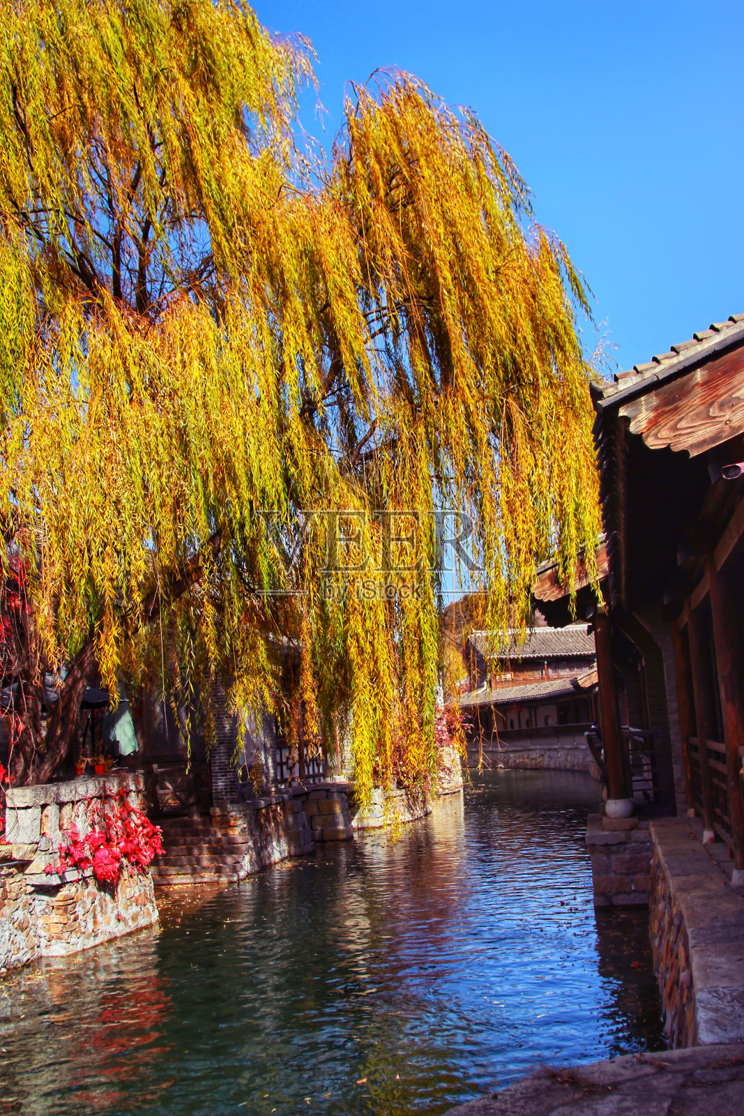 风景如画的河流和绿树成荫的红草山照片摄影图片